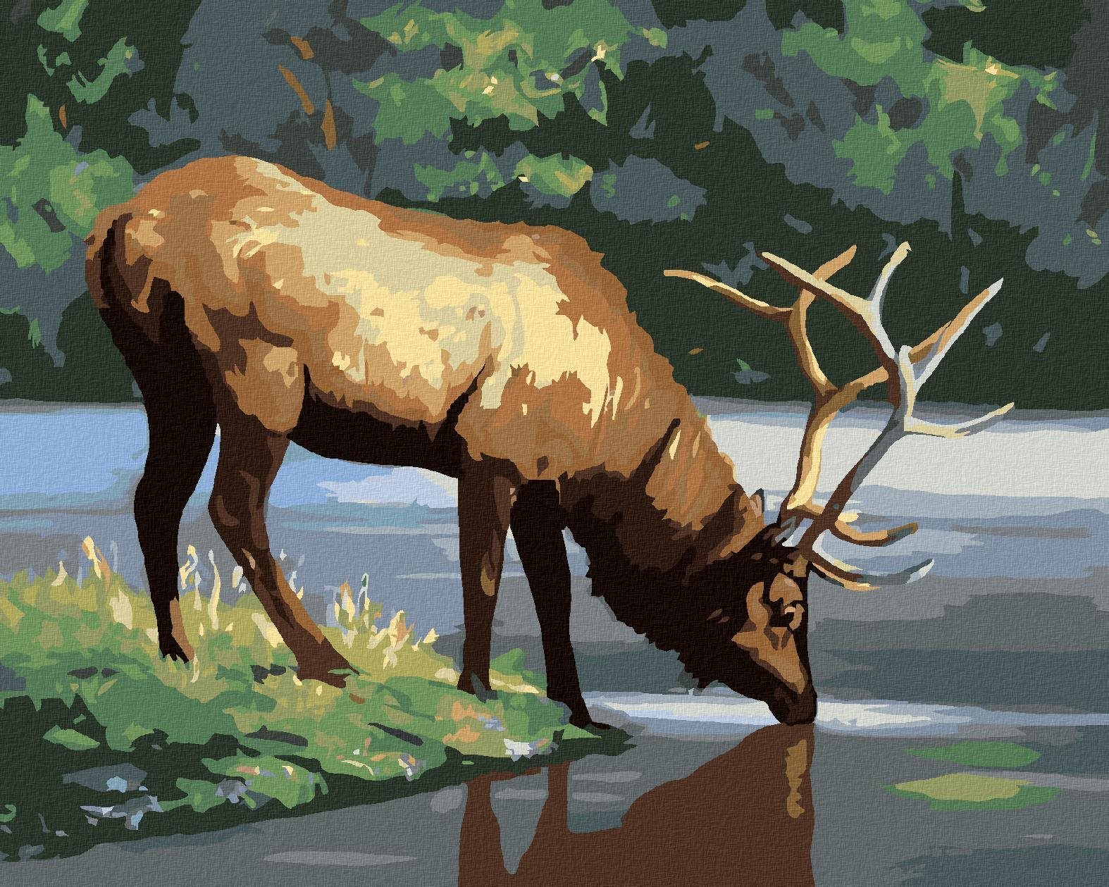 Zuty - Malování Podle Čísel - Los U Vody (D. Rusty Rust), 40X50 Cm, Plátno