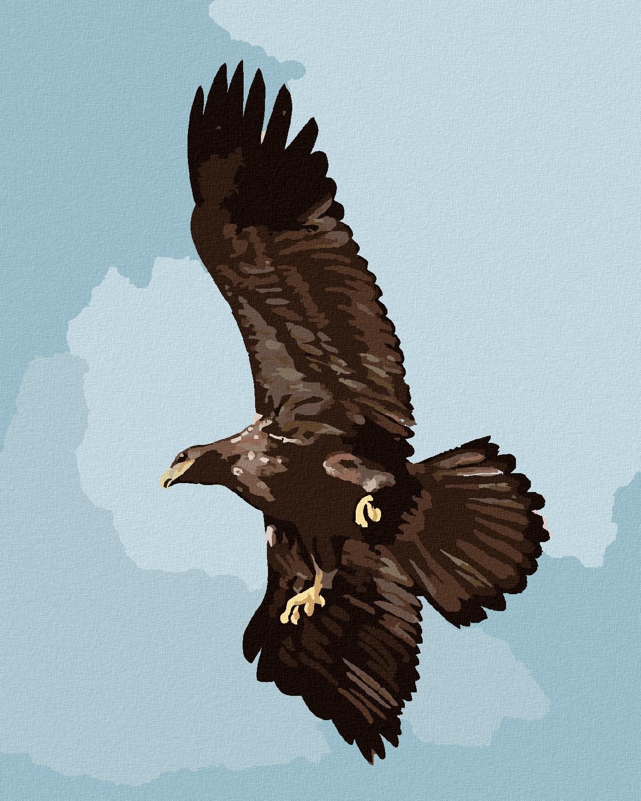 Zuty - Malování Podle Čísel - Orel (D. Rusty Rust), 80X100 Cm, Plátno