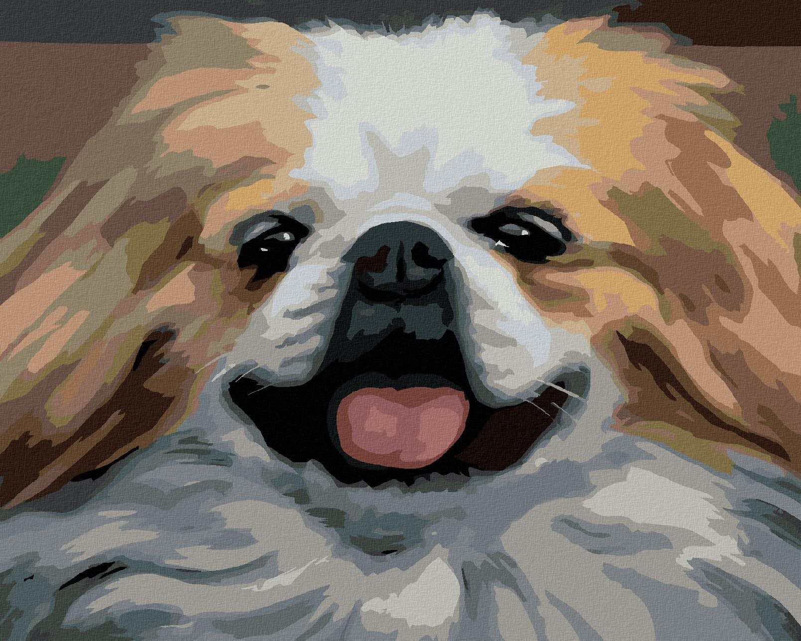 Zuty - Malování Podle Čísel - Pes - Portrét (D. Rusty Rust), 40X50 Cm, Plátno