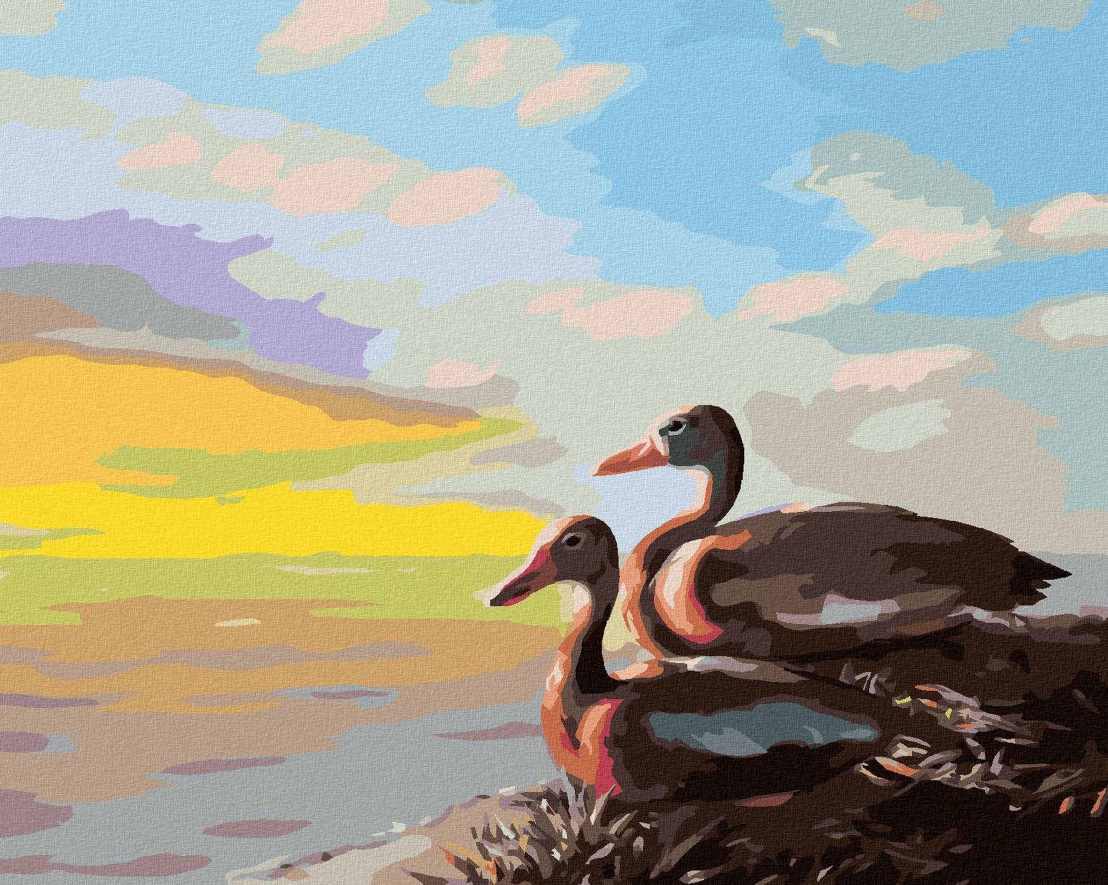 Zuty - Malování Podle Čísel - Kachny (D. Rusty Rust), 40X50 Cm, Plátno