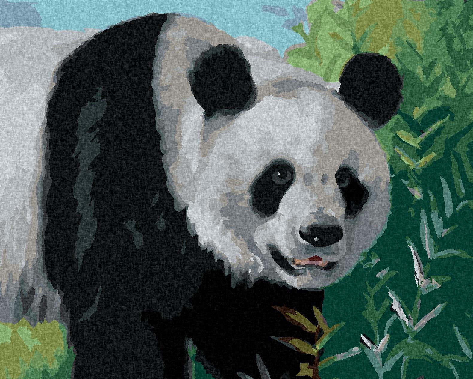 Zuty - Malování Podle Čísel - Panda (D. Rusty Rust), 40X50 Cm, Plátno+Rám