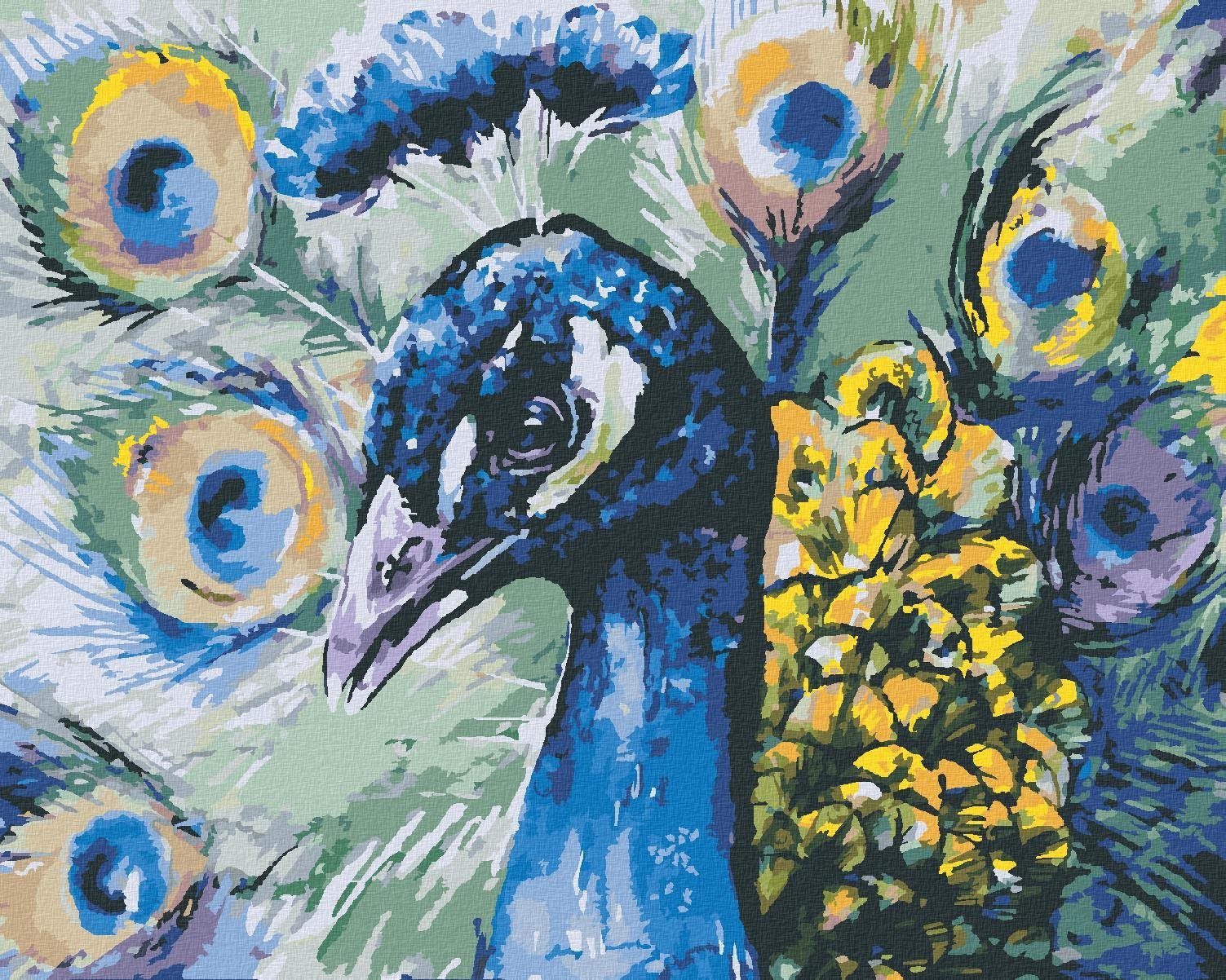 Zuty - Malování Podle Čísel - Páv, 40X50 Cm, Plátno+Rám