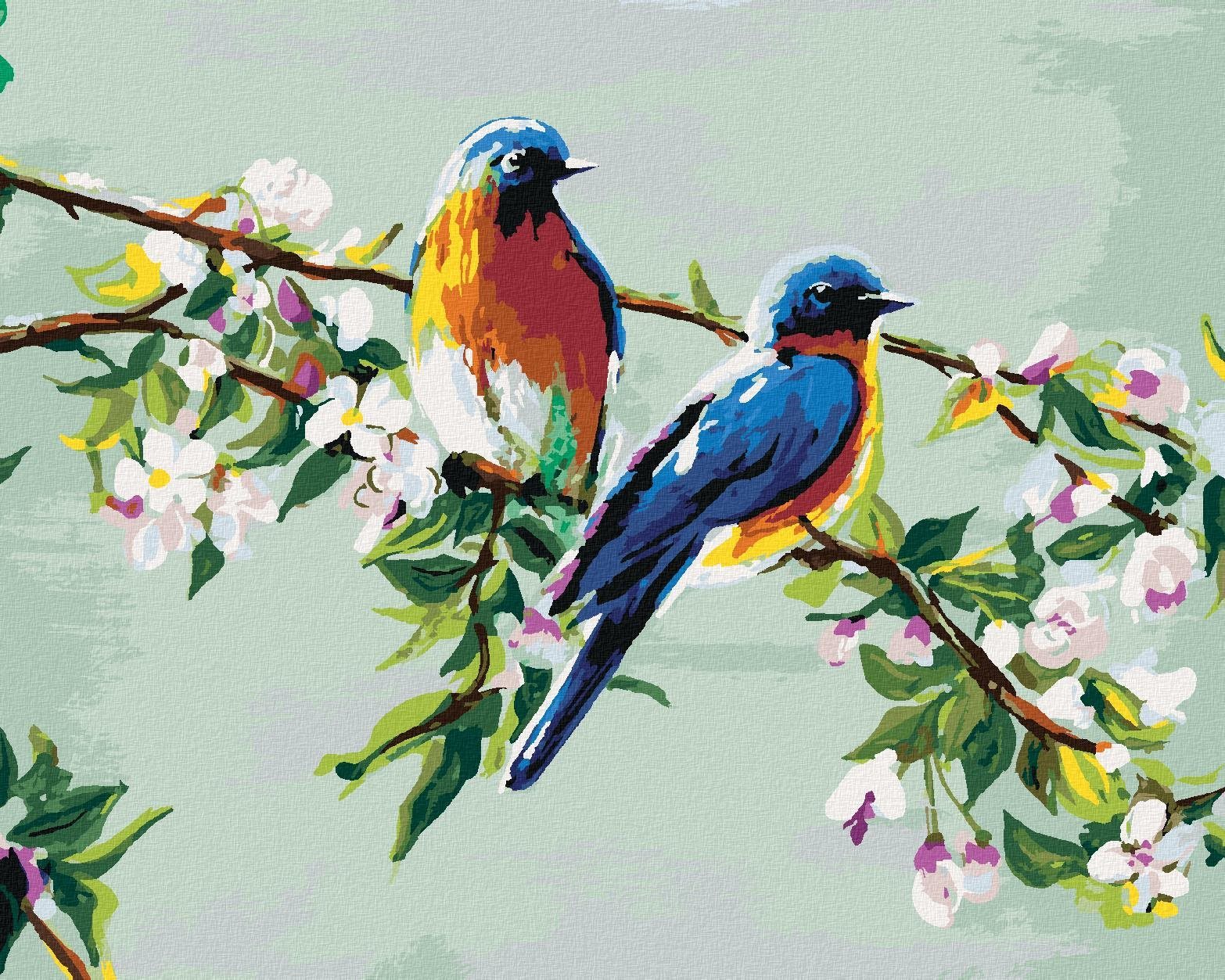 Zuty - Malování Podle Čísel - Dva Ptáčci Na Jabloňi, 40X50 Cm, Plátno