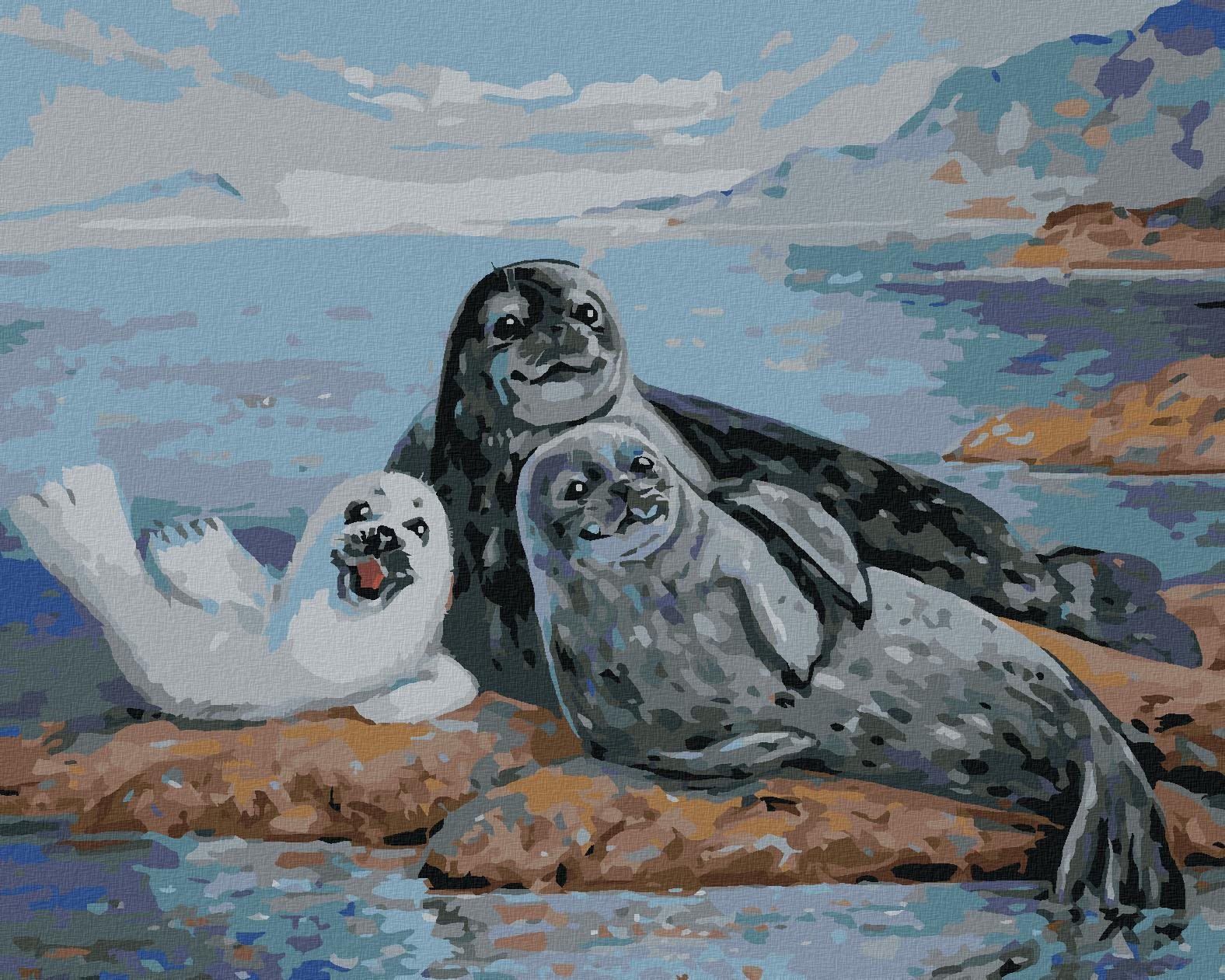 Zuty - Malování Podle Čísel - Rodina Tuleňů, 40X50 Cm, Plátno+Rám