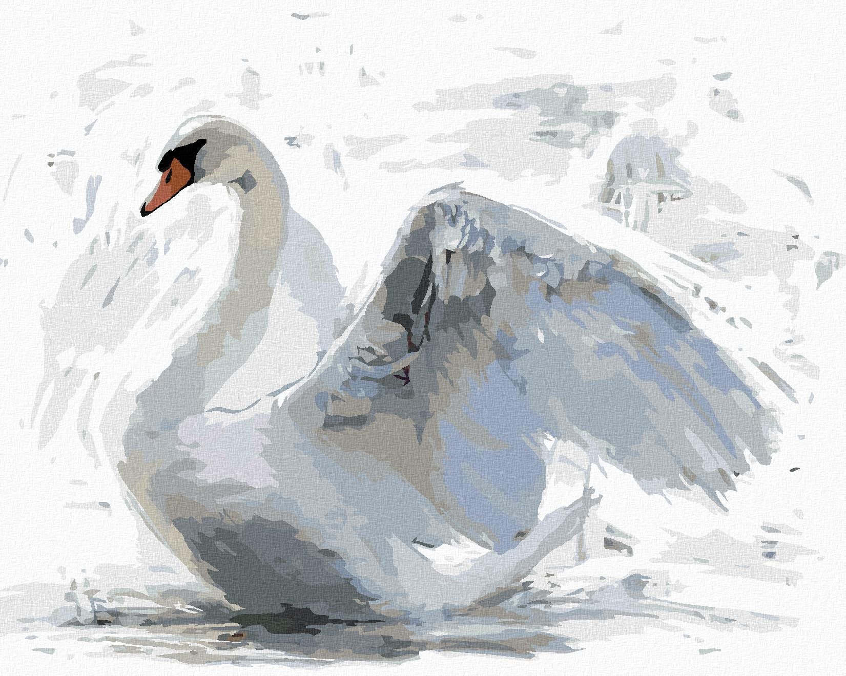 Zuty - Malování Podle Čísel - Bílá Labuť, 40X50 Cm, Plátno+Rám