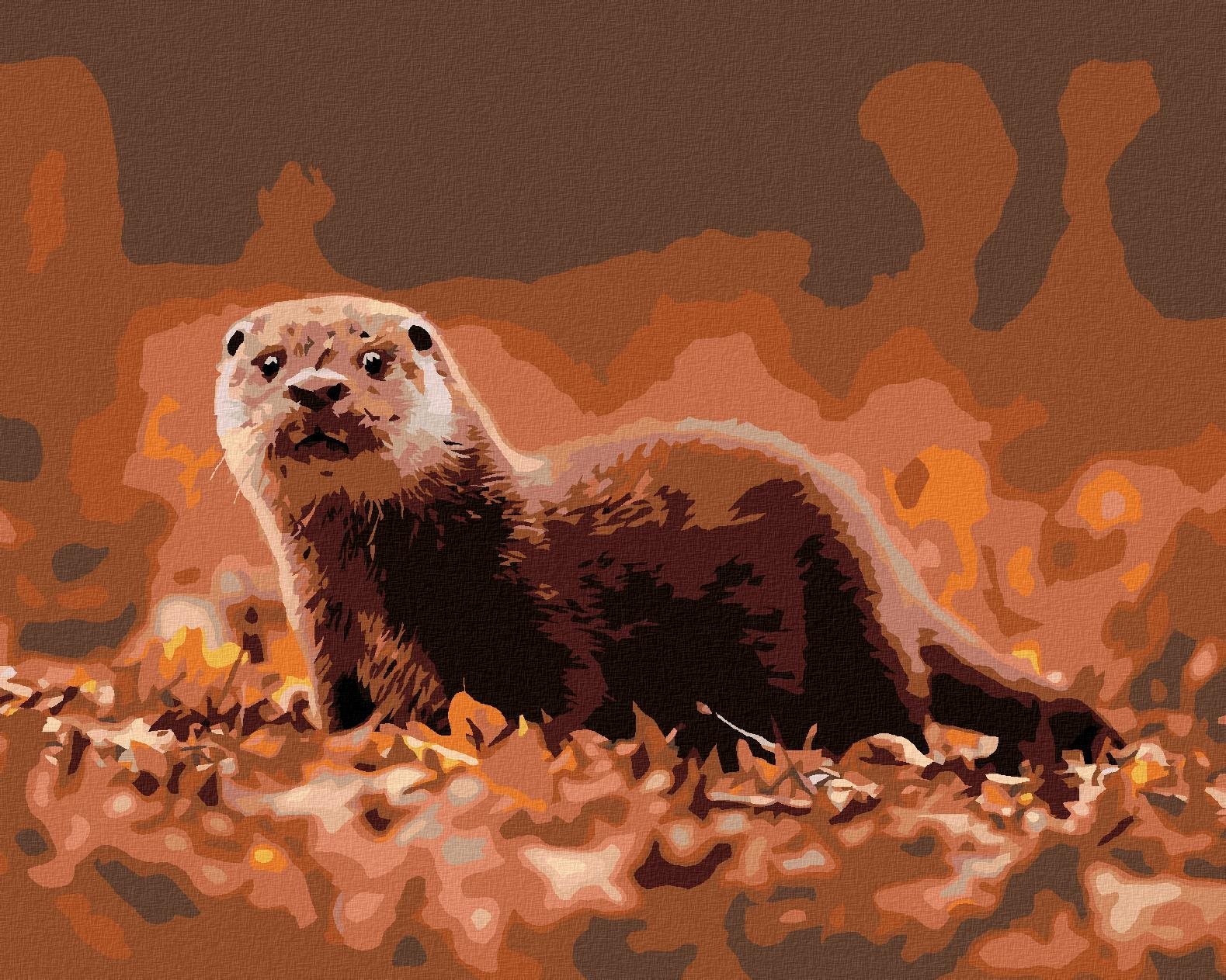 Zuty - Malování Podle Čísel - Vydra Na Podzim, 40X50 Cm, Plátno
