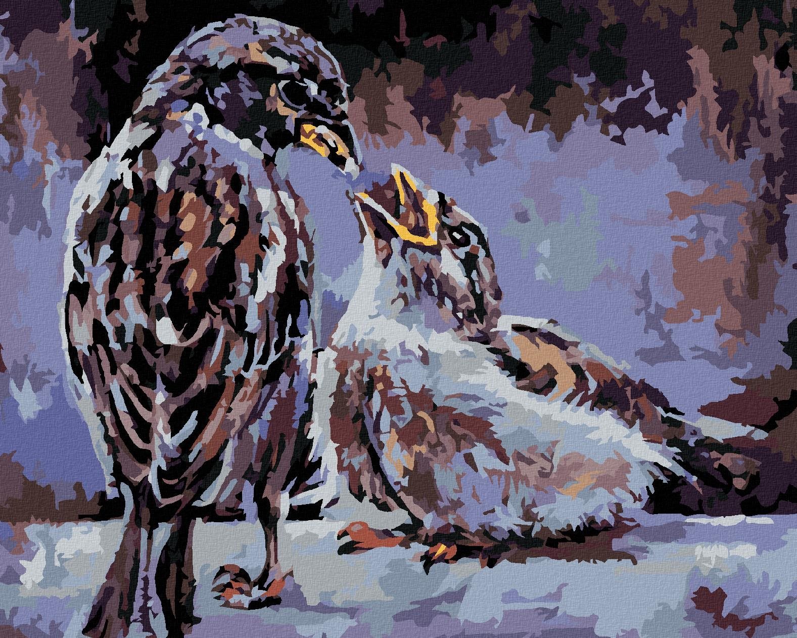 Zuty - Malování Podle Čísel - Krmení Ptáčků, 40X50 Cm, Plátno+Rám