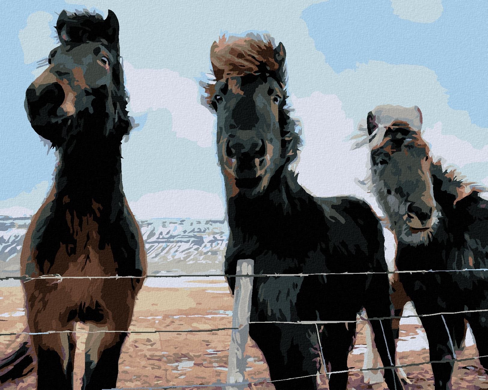 Zuty - Malování Podle Čísel - Tři Koně (Ted Davis), 40X50 Cm, Plátno+Rám