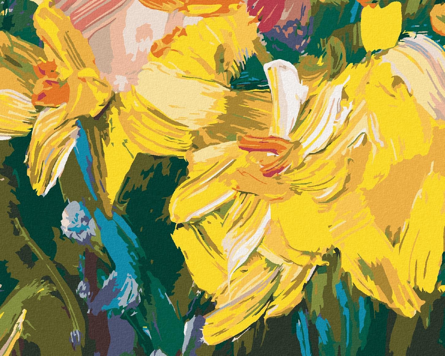 Zuty - Malování Podle Čísel - Žluté Narcisy, 80X100 Cm, Plátno