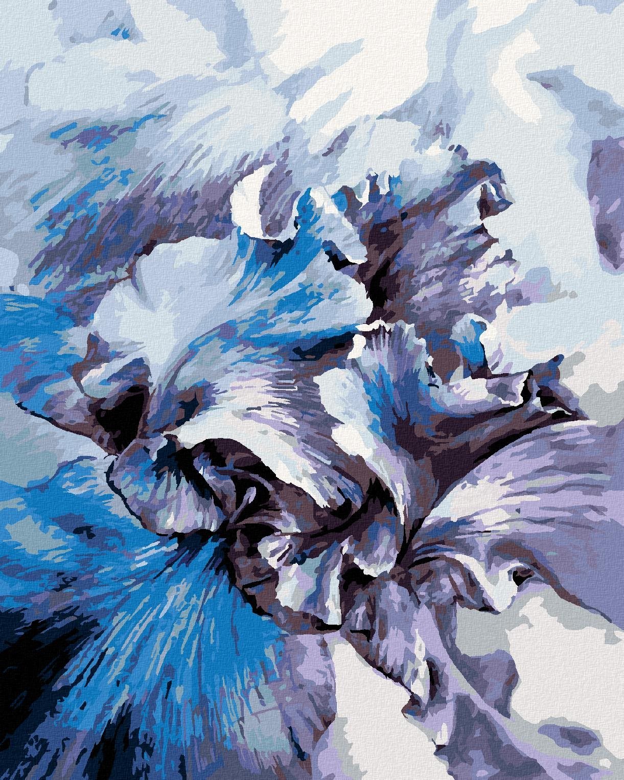 Zuty - Malování Podle Čísel - Modré Kosatce, 40X50 Cm, Plátno