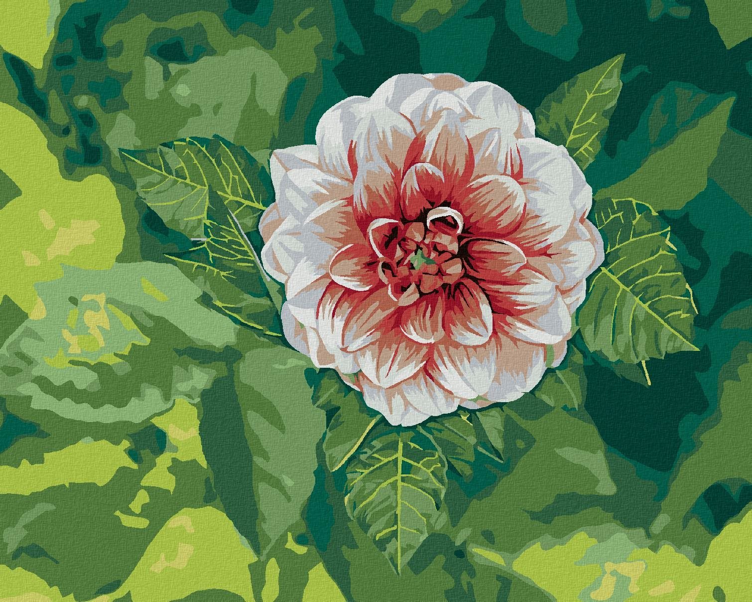 Zuty - Malování Podle Čísel - Jiřina Mezi Listy, 40X50 Cm, Plátno