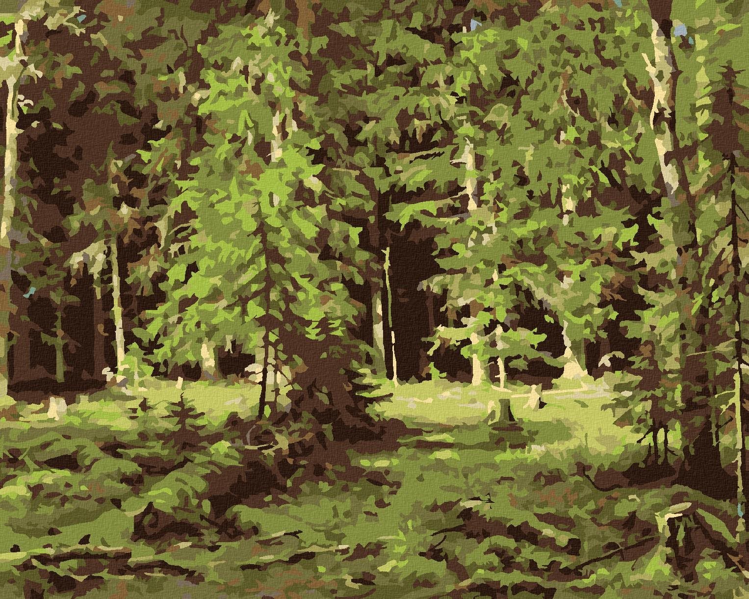 Zuty - Malování Podle Čísel - Les (Ivan Shishkin), 40X50 Cm, Plátno