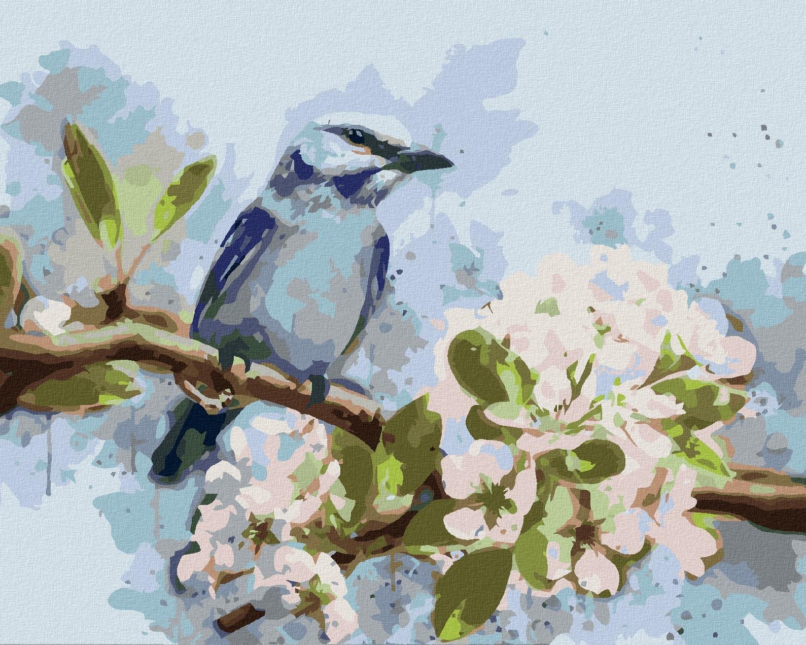 Zuty - Malování Podle Čísel - Modrý Pták Na Rozkvetlé Třešni, 40X50 Cm, Plátno
