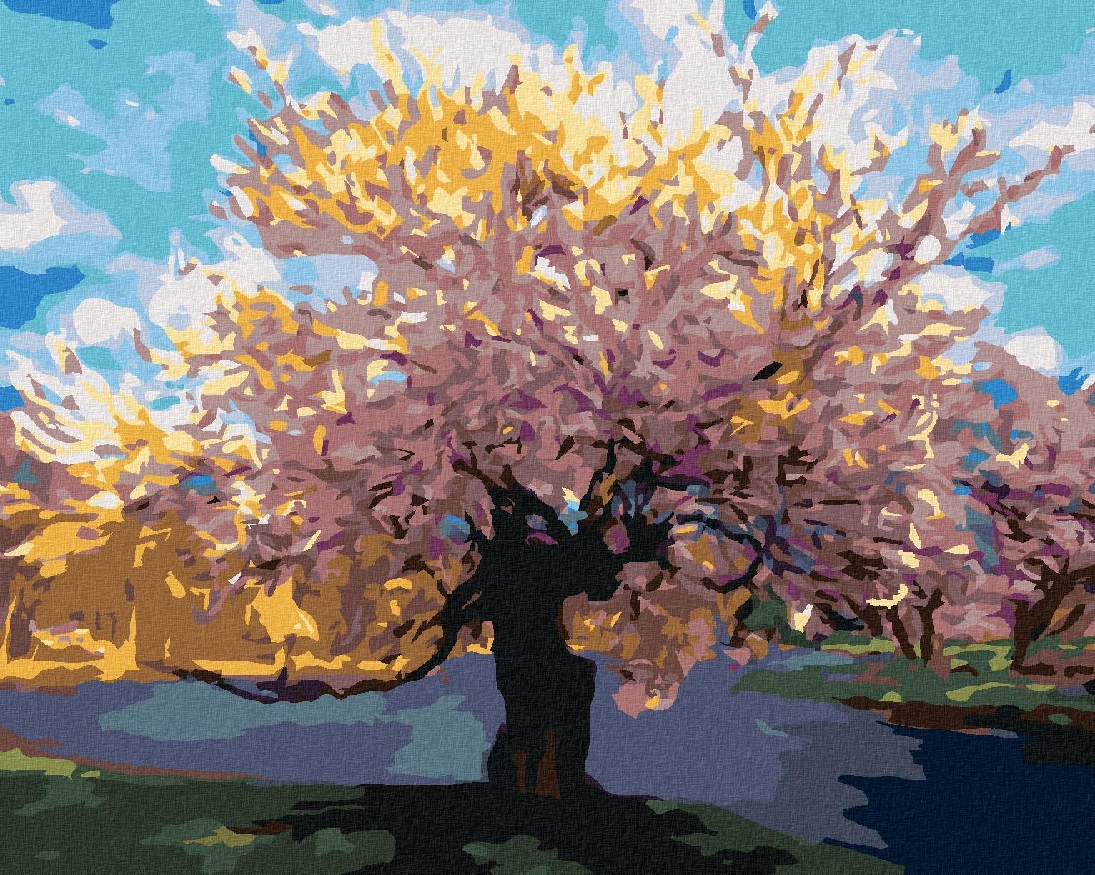 Zuty - Malování Podle Čísel - Sakura U Potoka, 40X50 Cm, Plátno+Rám