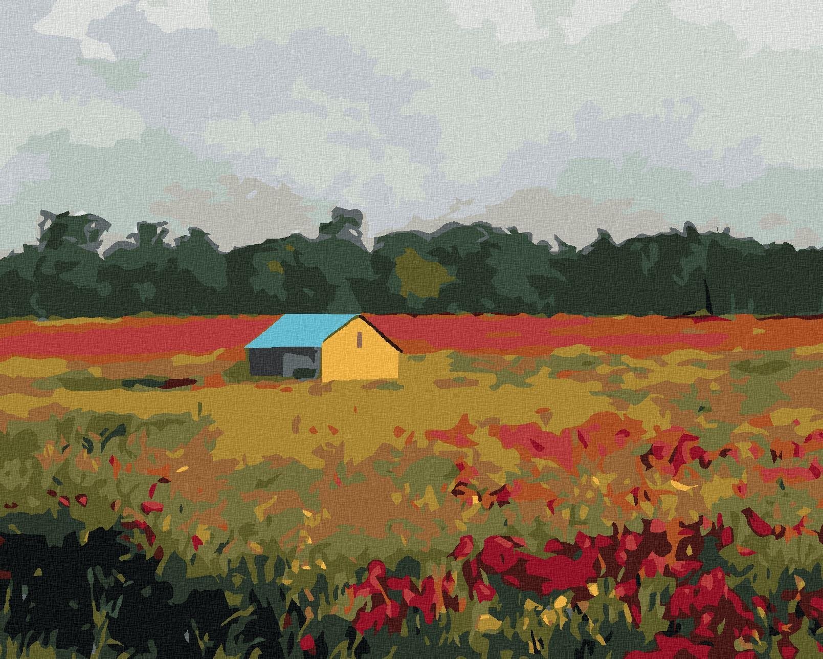 Zuty - Malování Podle Čísel - Domek A Vlčí Máky, 40X50 Cm, Plátno