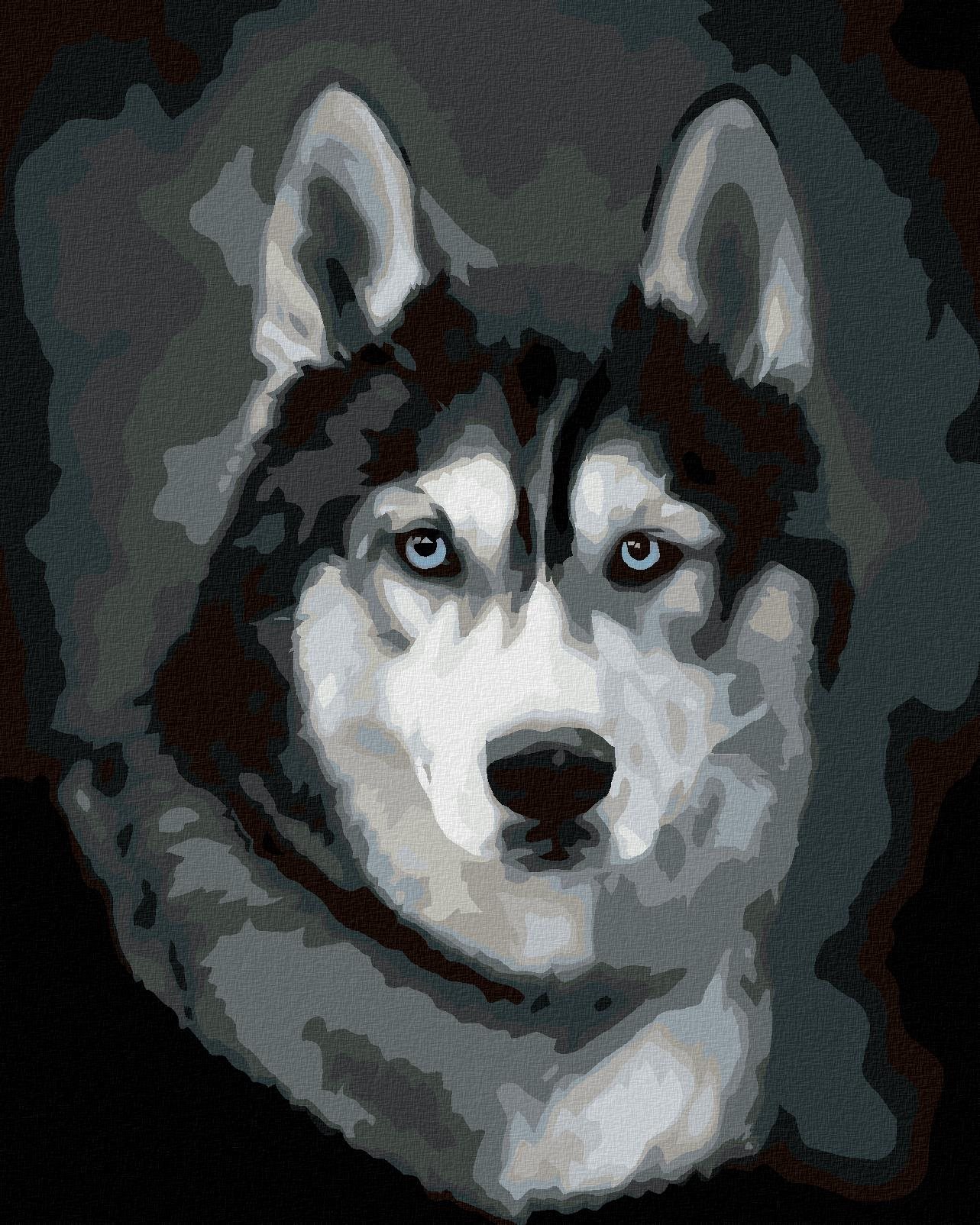 Zuty - Malování Podle Čísel - Husky Portrét, 80X100 Cm, Plátno+Rám