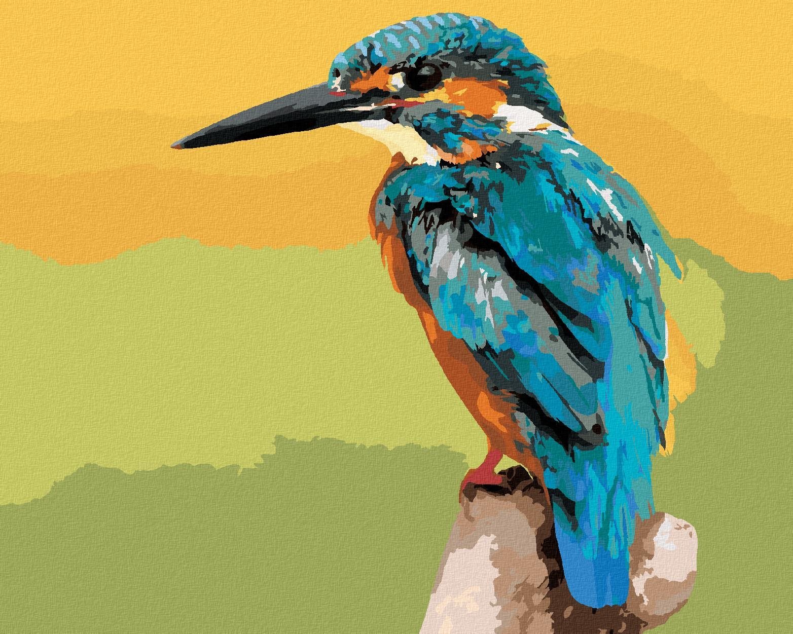 Zuty - Malování Podle Čísel - Pták Ledňáček, 40X50 Cm, Plátno+Rám