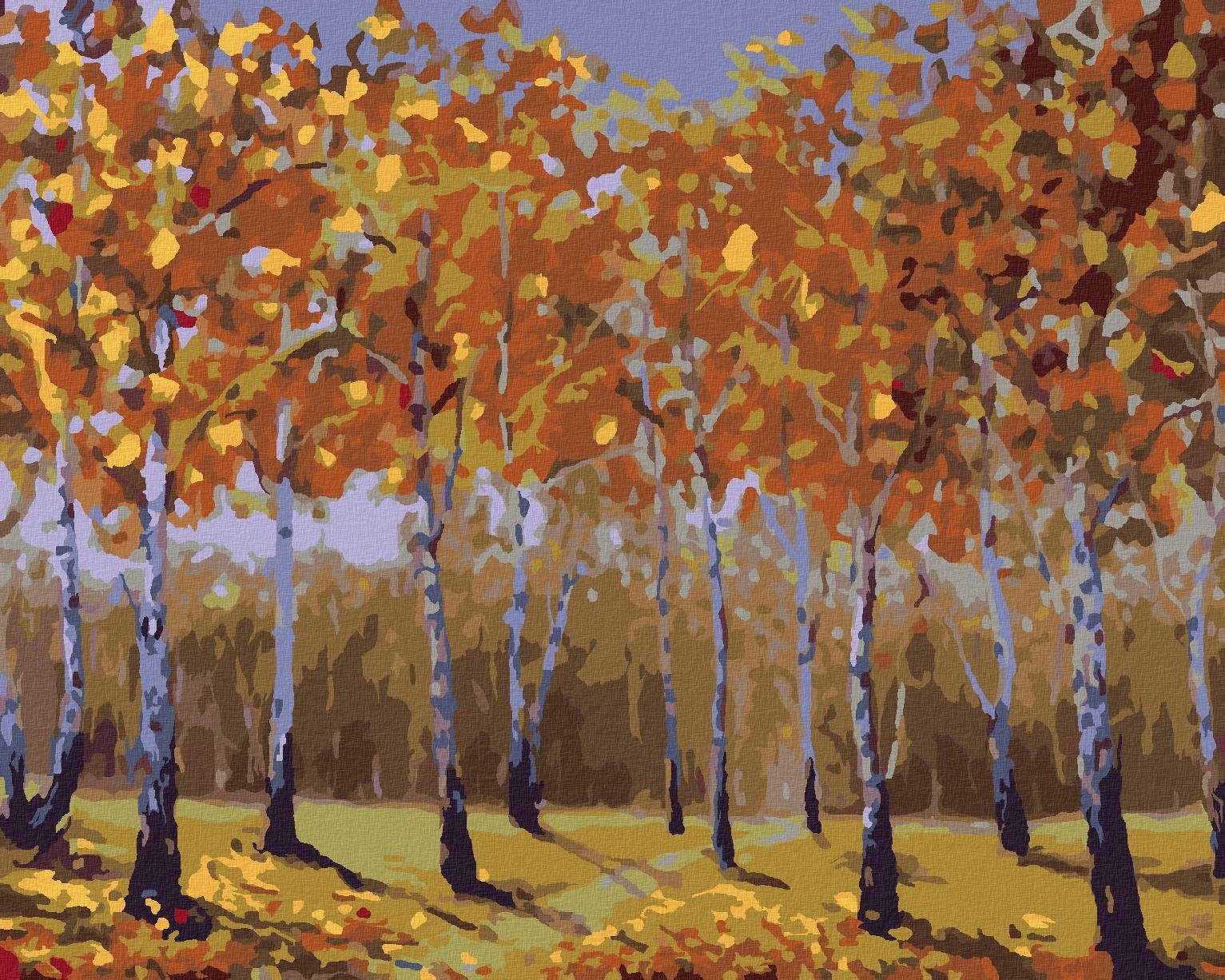 Zuty - Malování Podle Čísel - Podzimní Břízy, 40X50 Cm, Plátno