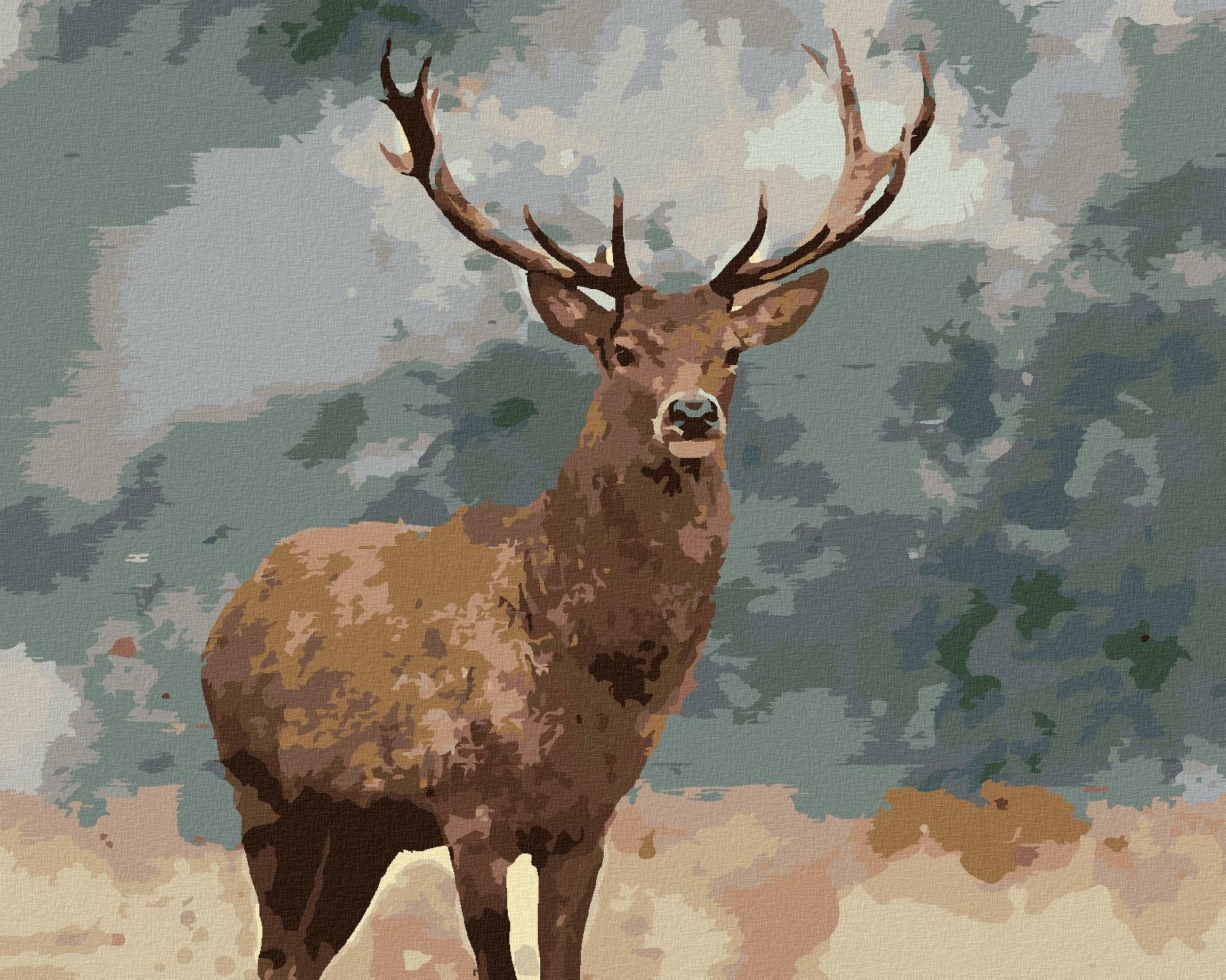 Zuty - Malování Podle Čísel - Dospělý Jelen, 80X100 Cm, Plátno