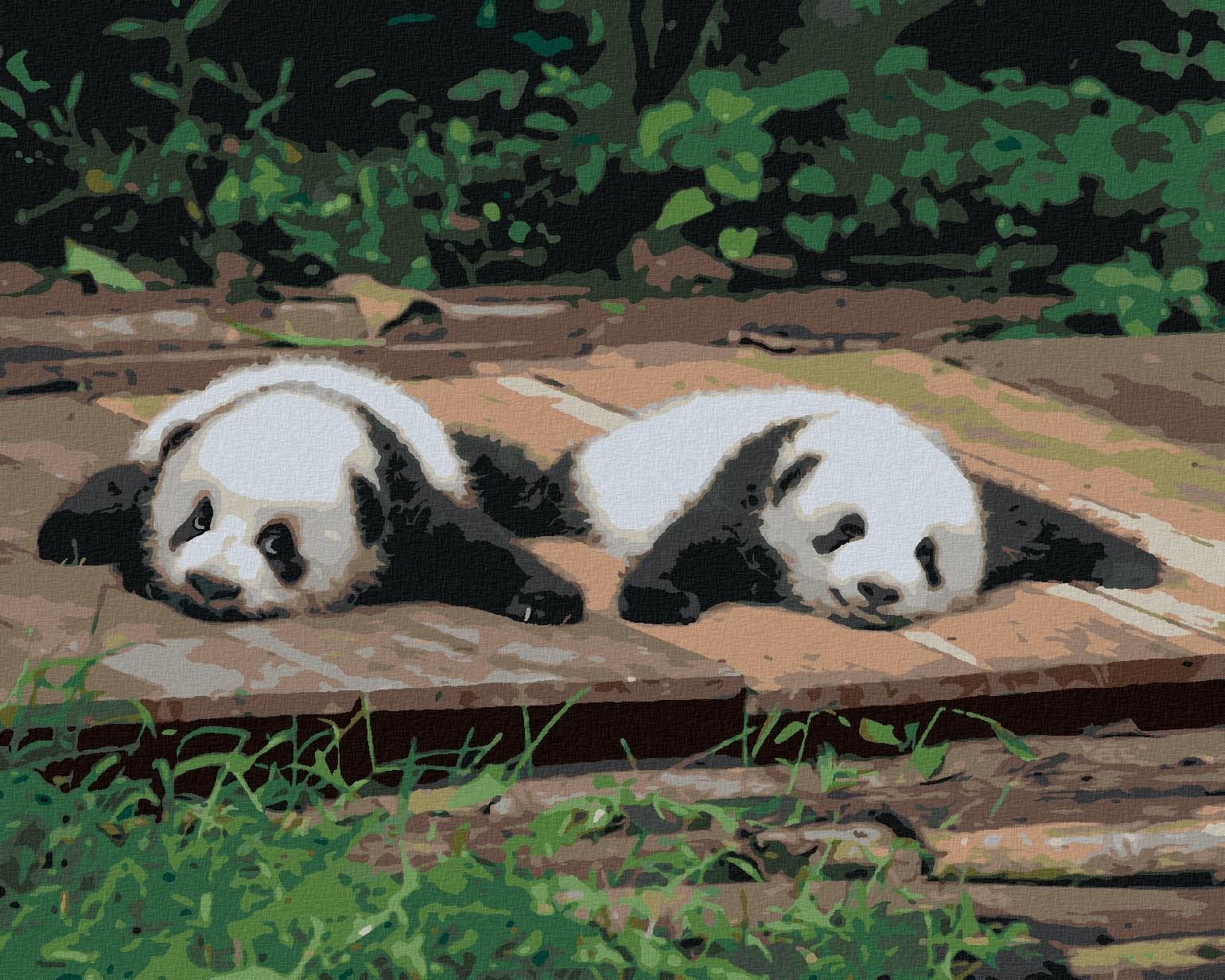 Zuty - Malování Podle Čísel - Panda Ležící Na Dřevě, 40X50 Cm, Plátno