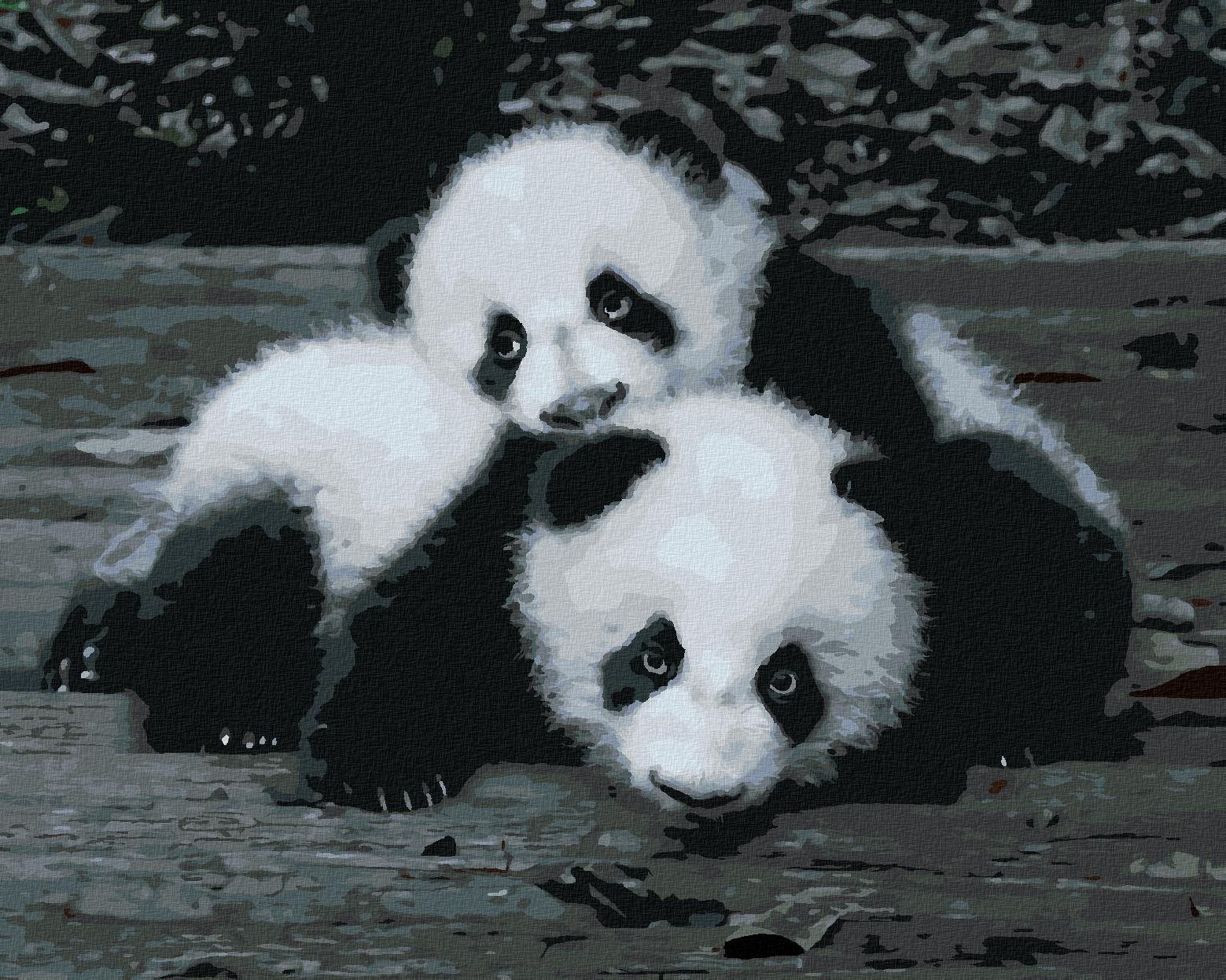 Zuty - Malování Podle Čísel - Pandy V Zoo, 80X100 Cm, Plátno+Rám