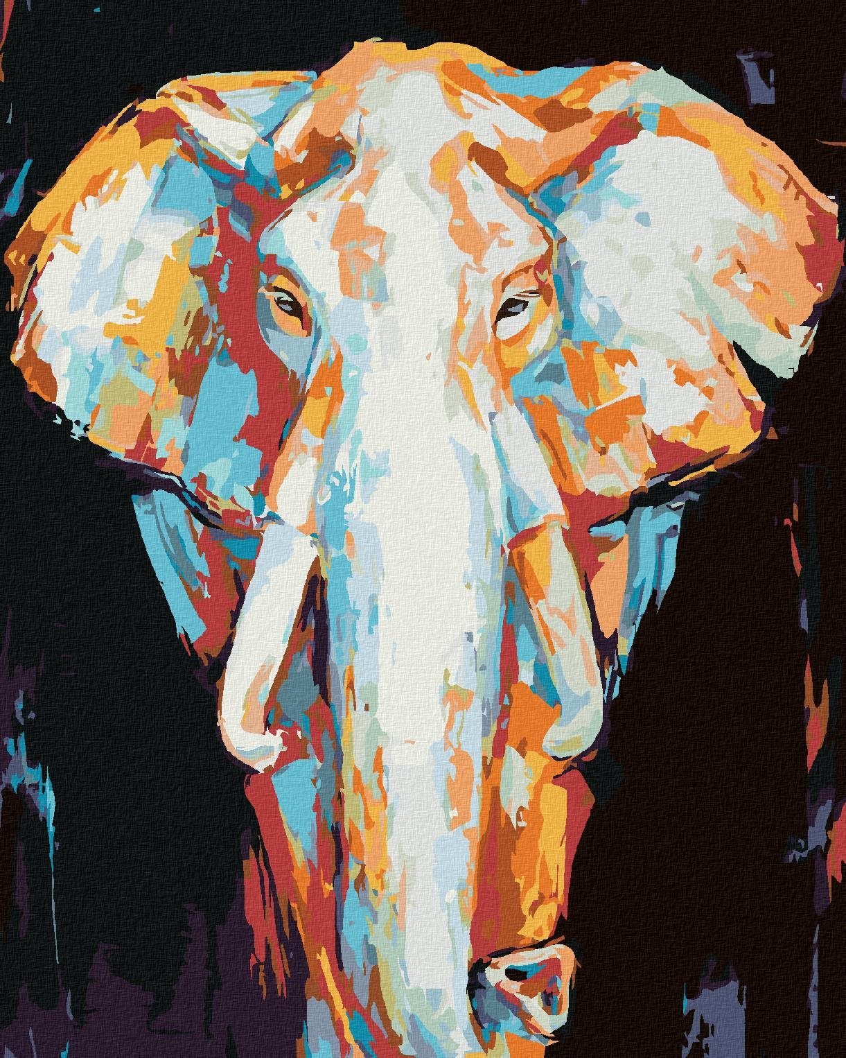 Zuty - Malování Podle Čísel - Barevný Slon Na Černém Pozadí, 40X50 Cm, Plátno+Rám