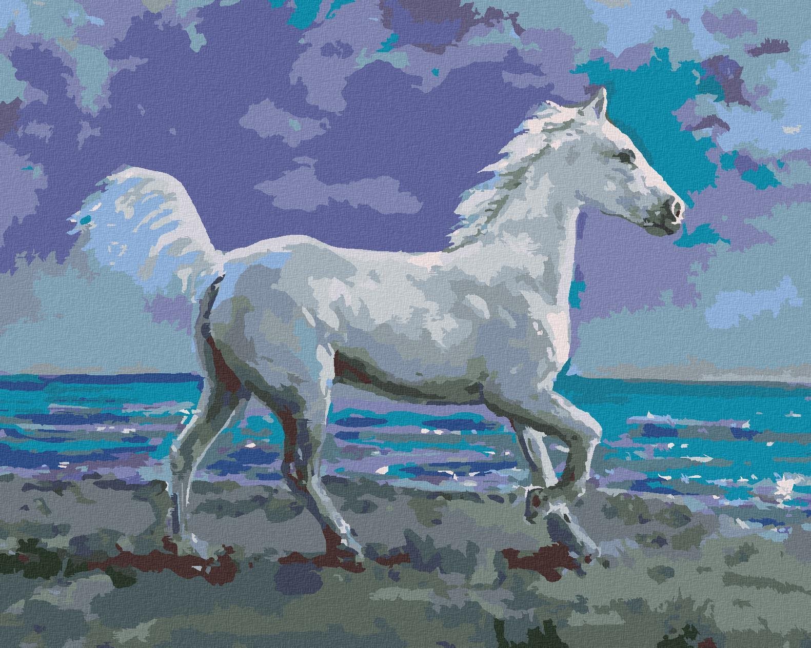 Zuty - Malování Podle Čísel - Bílý Kůň Na Břehu, 80X100 Cm, Plátno