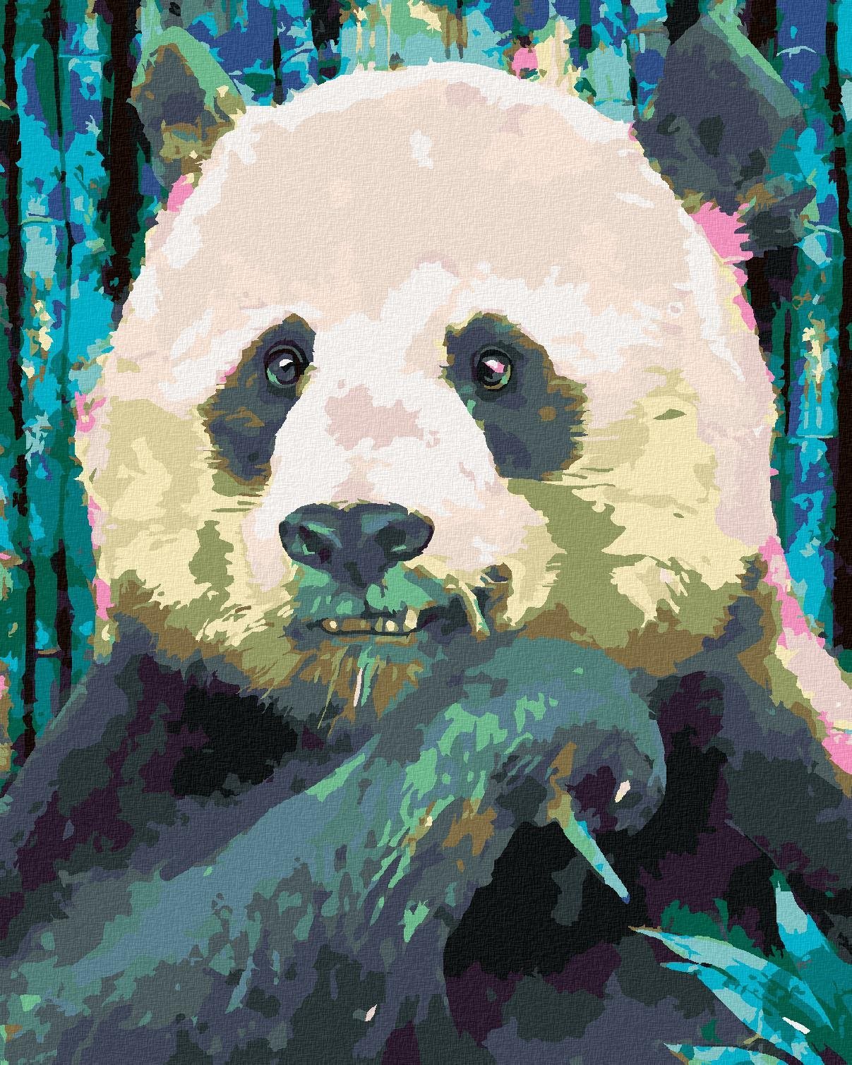 Zuty - Malování Podle Čísel - Barevná Panda, 40X50 Cm, Plátno+Rám