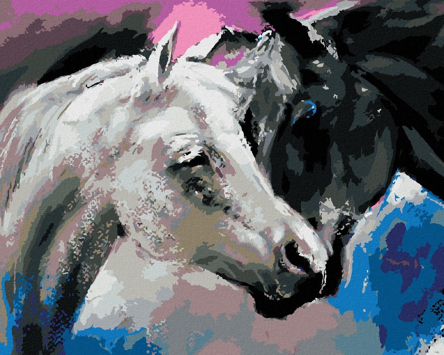 Zuty - Malování Podle Čísel - Černý A Bílý Kůň, 80X100 Cm, Plátno+Rám