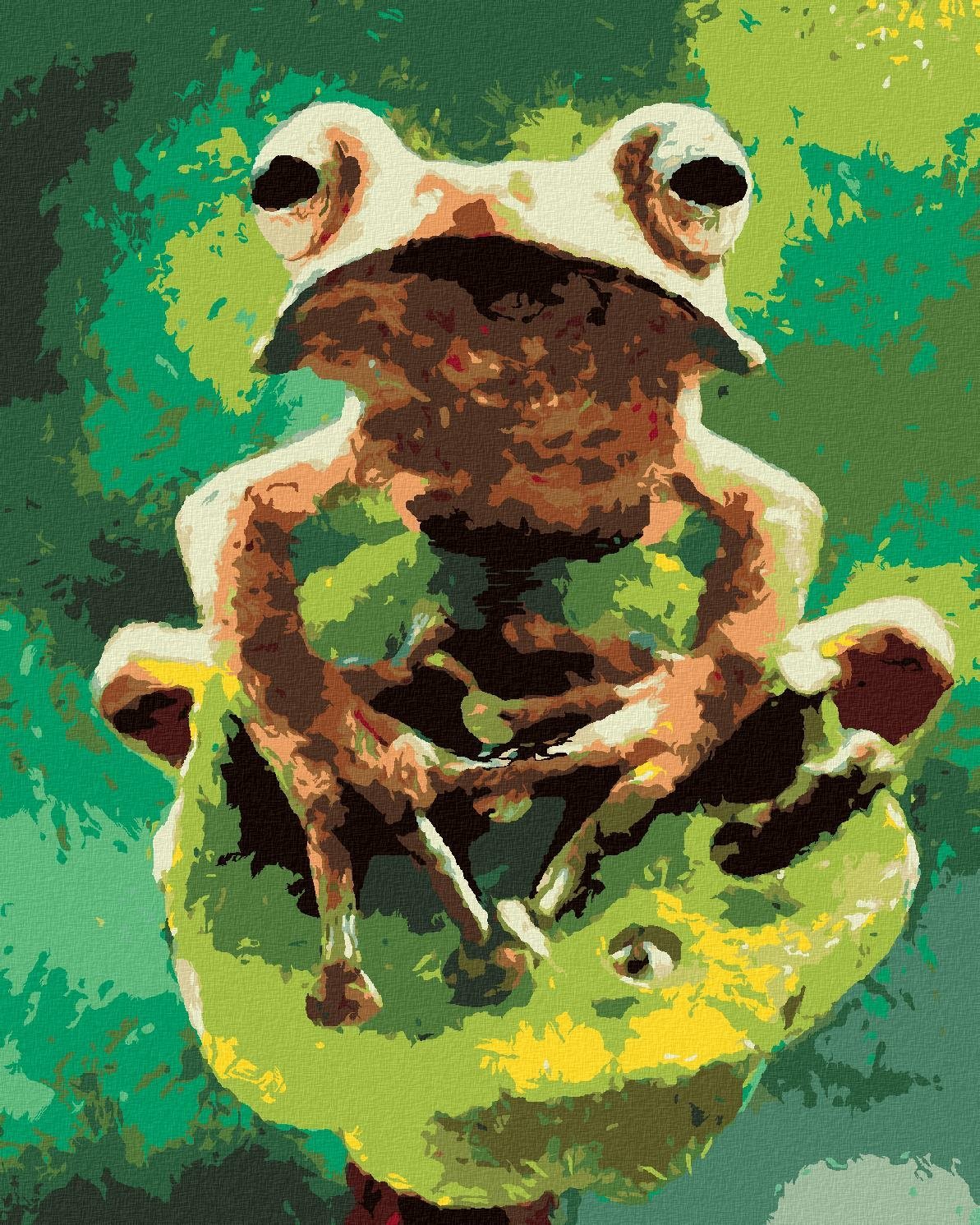 Zuty - Malování Podle Čísel - Žába V Lese, 40X50 Cm, Plátno+Rám
