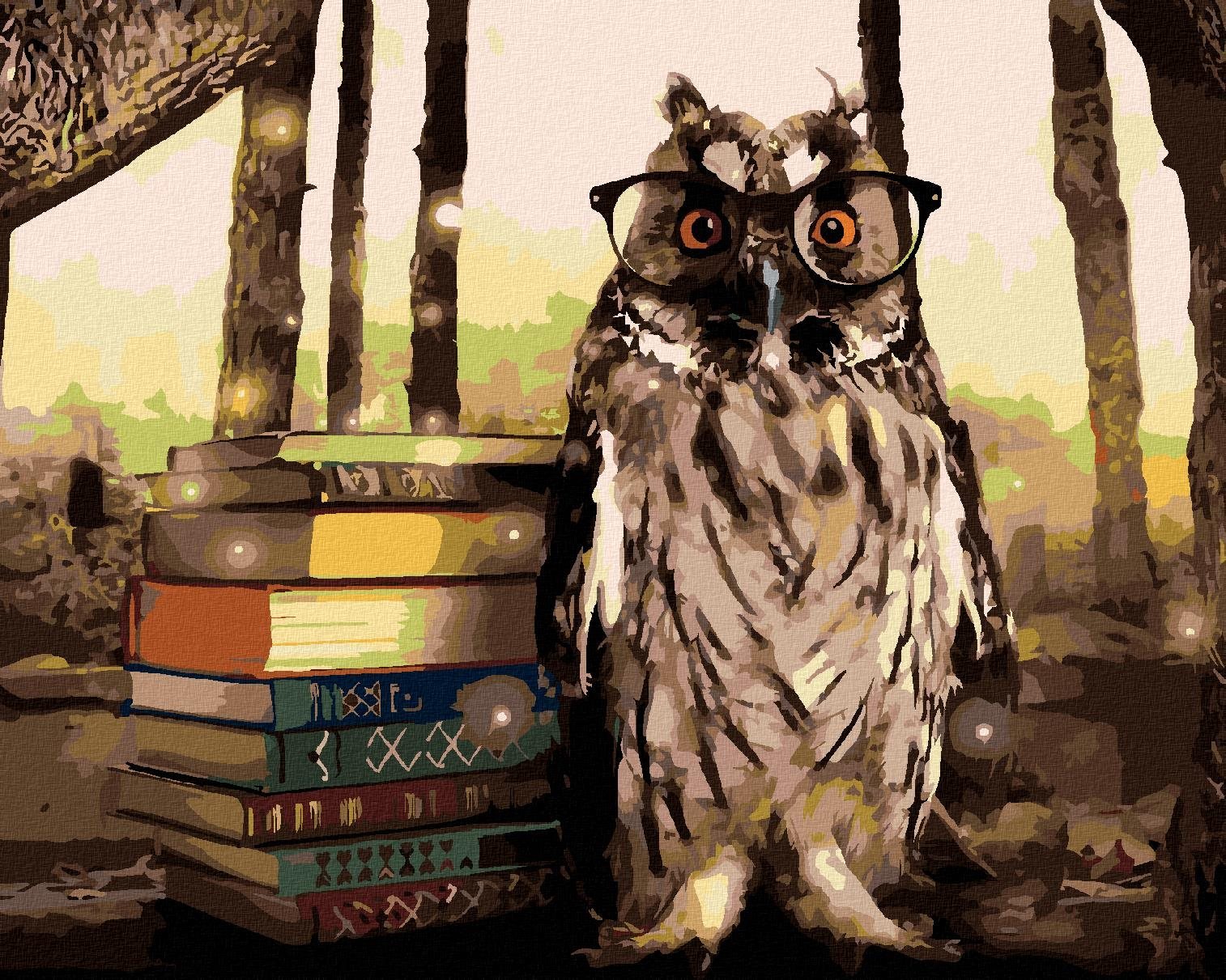 Zuty - Malování Podle Čísel - Sova S Knihami, 80X100 Cm, Plátno+Rám