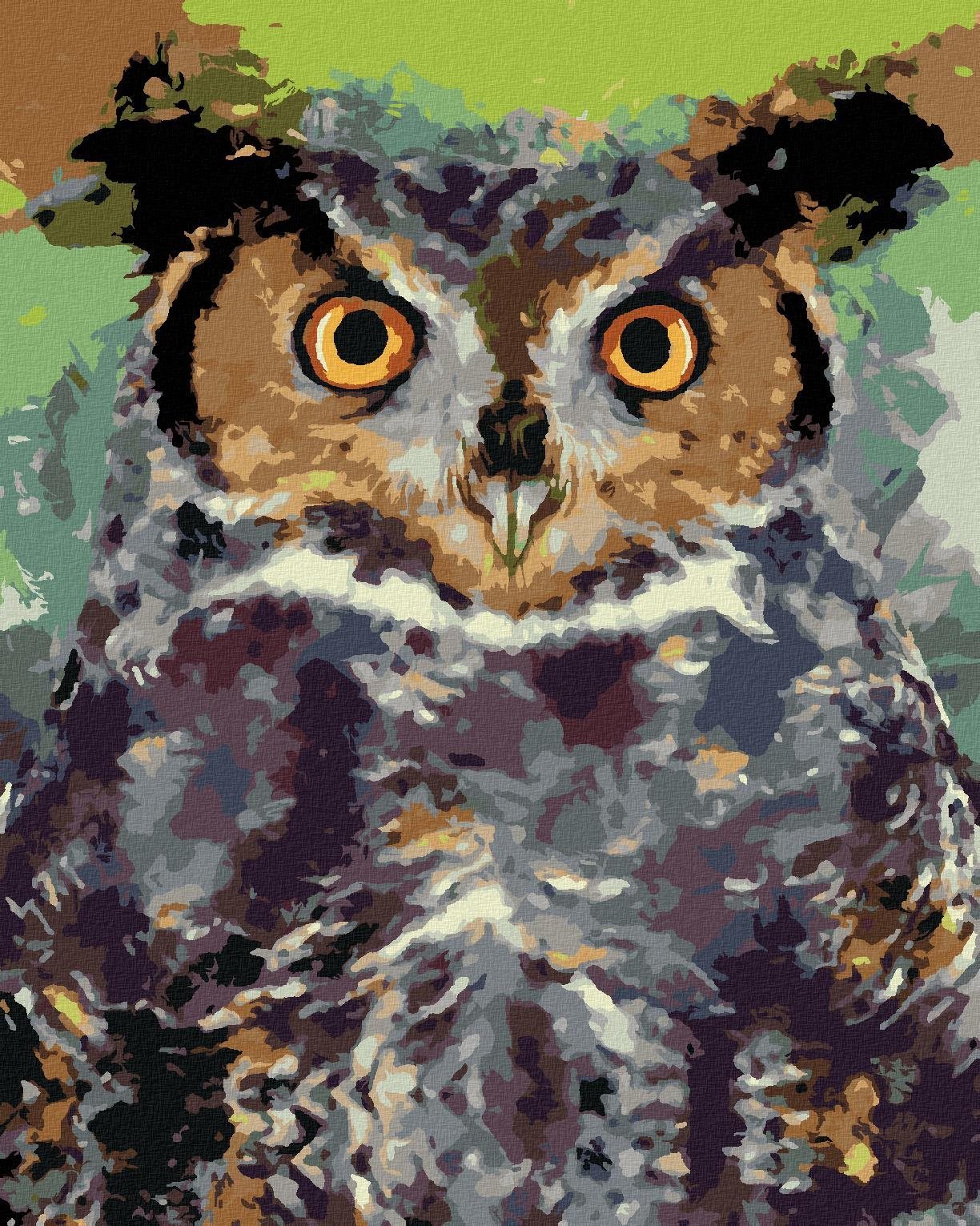 Zuty - Malování Podle Čísel - Barevná Sova Ii, 40X50 Cm, Plátno