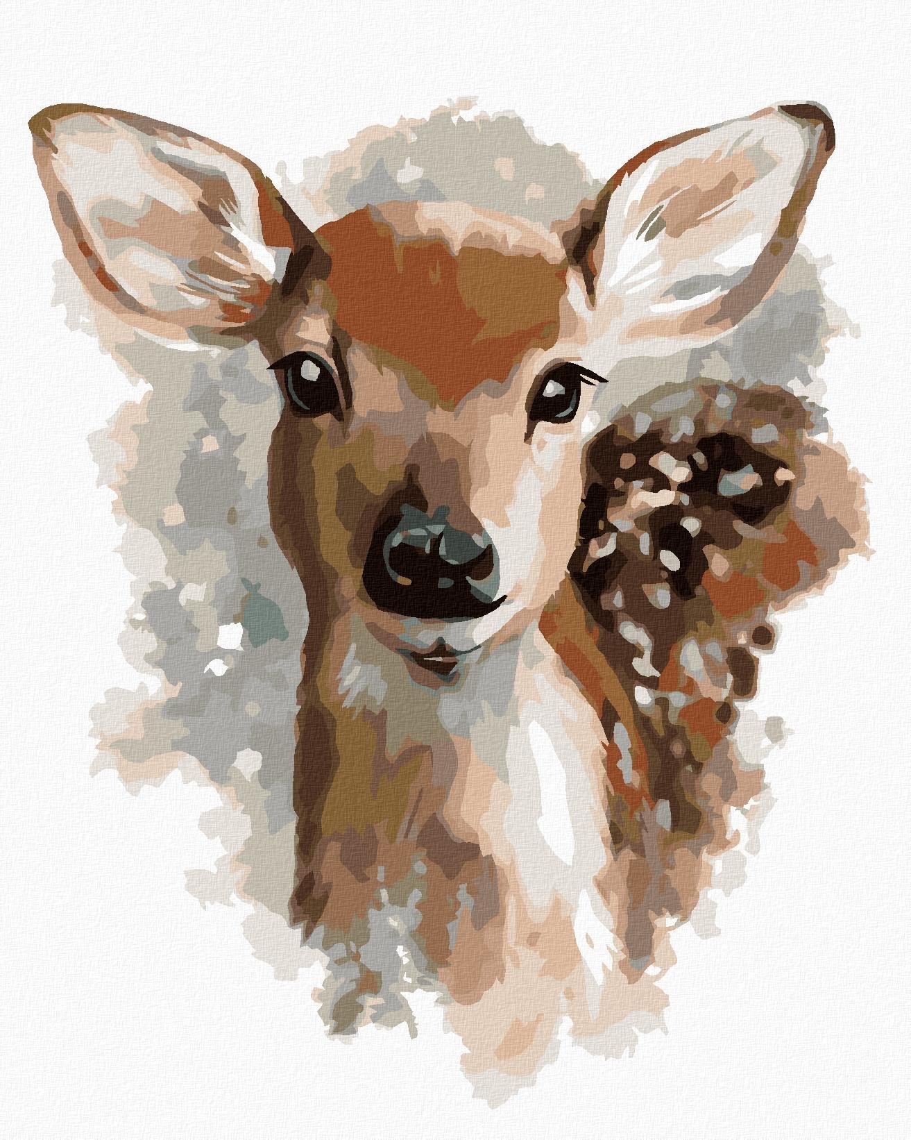 Zuty - Malování Podle Čísel - Koloušek, 40X50 Cm, Plátno