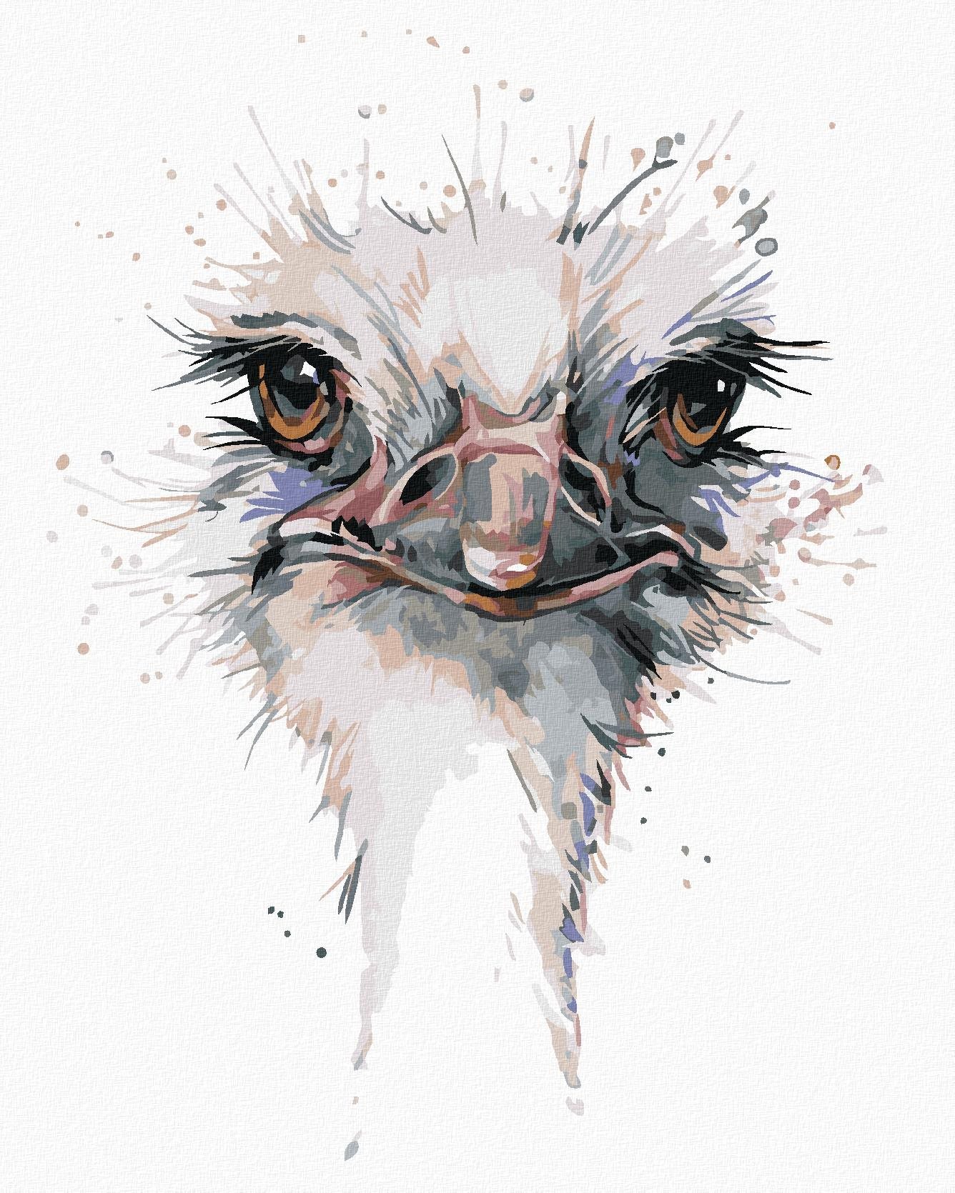 Zuty - Malování Podle Čísel - Pštrosí Hlava, 40X50 Cm, Plátno+Rám