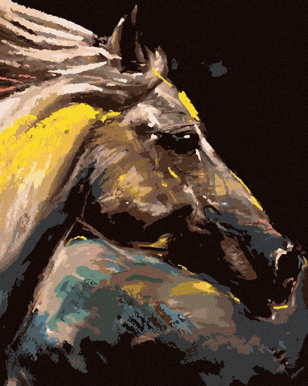 Zuty - Malování Podle Čísel - Portrét Barevného Koně, 40X50 Cm, Plátno+Rám