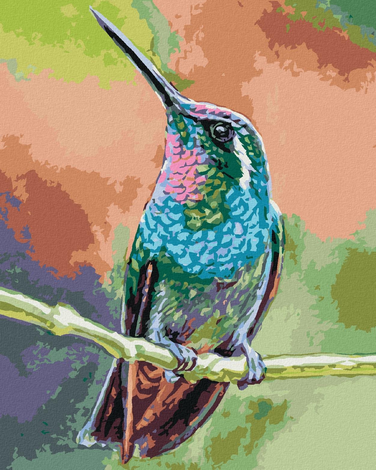 Zuty - Malování Podle Čísel - Kolibřík Na Větvi, 40X50 Cm, Plátno+Rám