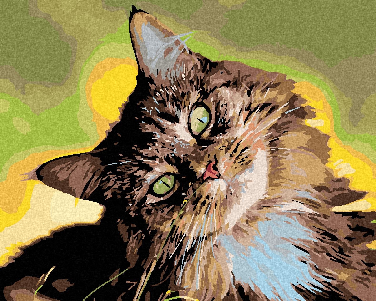 Malování podle čísel - Mourovatý kocour, 50x40 cm, vypnuté plátno na rám