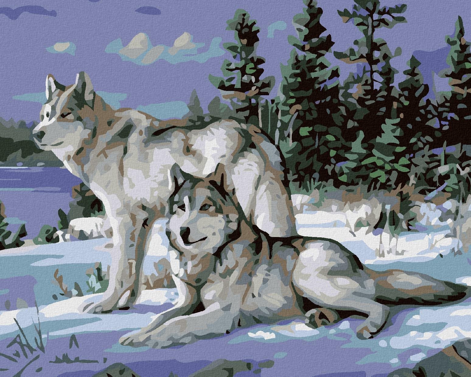 Malování podle čísel - Vlci II, 100x80 cm, bez rámu a bez vypnutí plátna