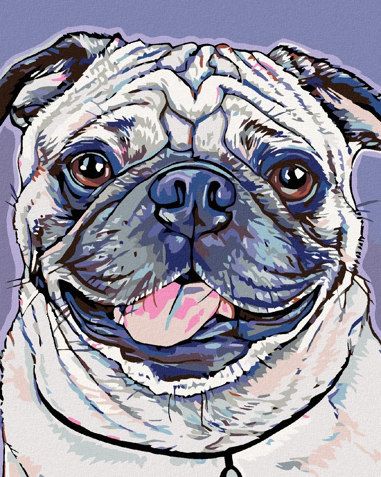 Malování podle čísel - Mopsík, 40x50 cm, vypnuté plátno na rám