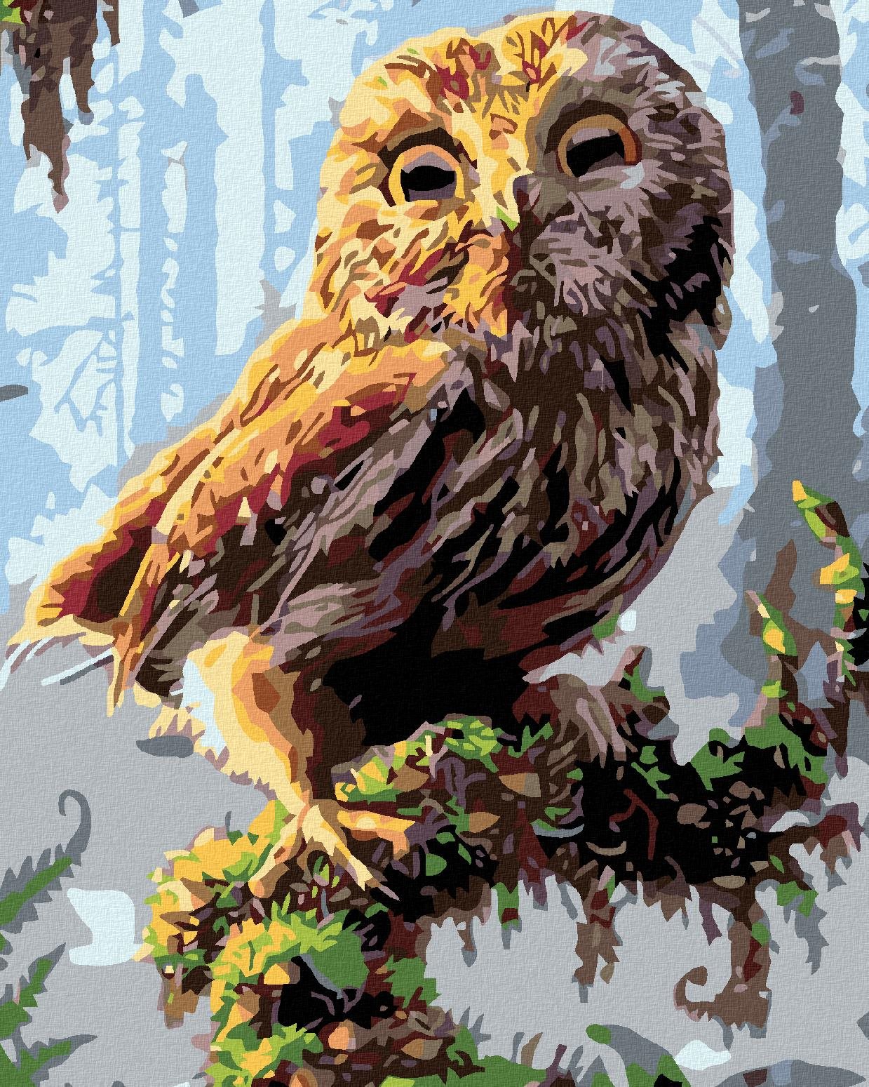 Malování podle čísel - Sovička, 80x100 cm, vypnuté plátno na rám