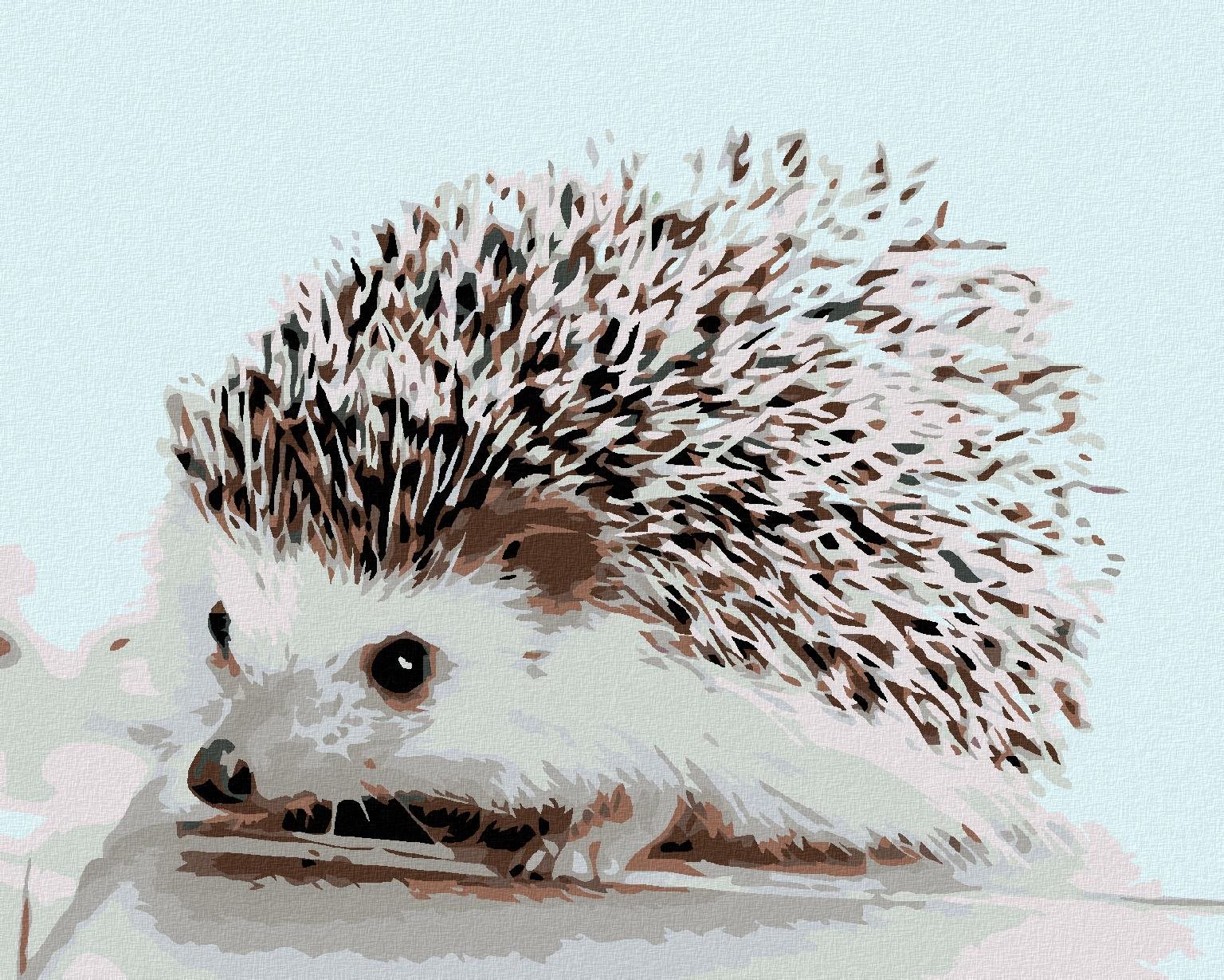 Malování podle čísel - Ježek, 100x80 cm, vypnuté plátno na rám