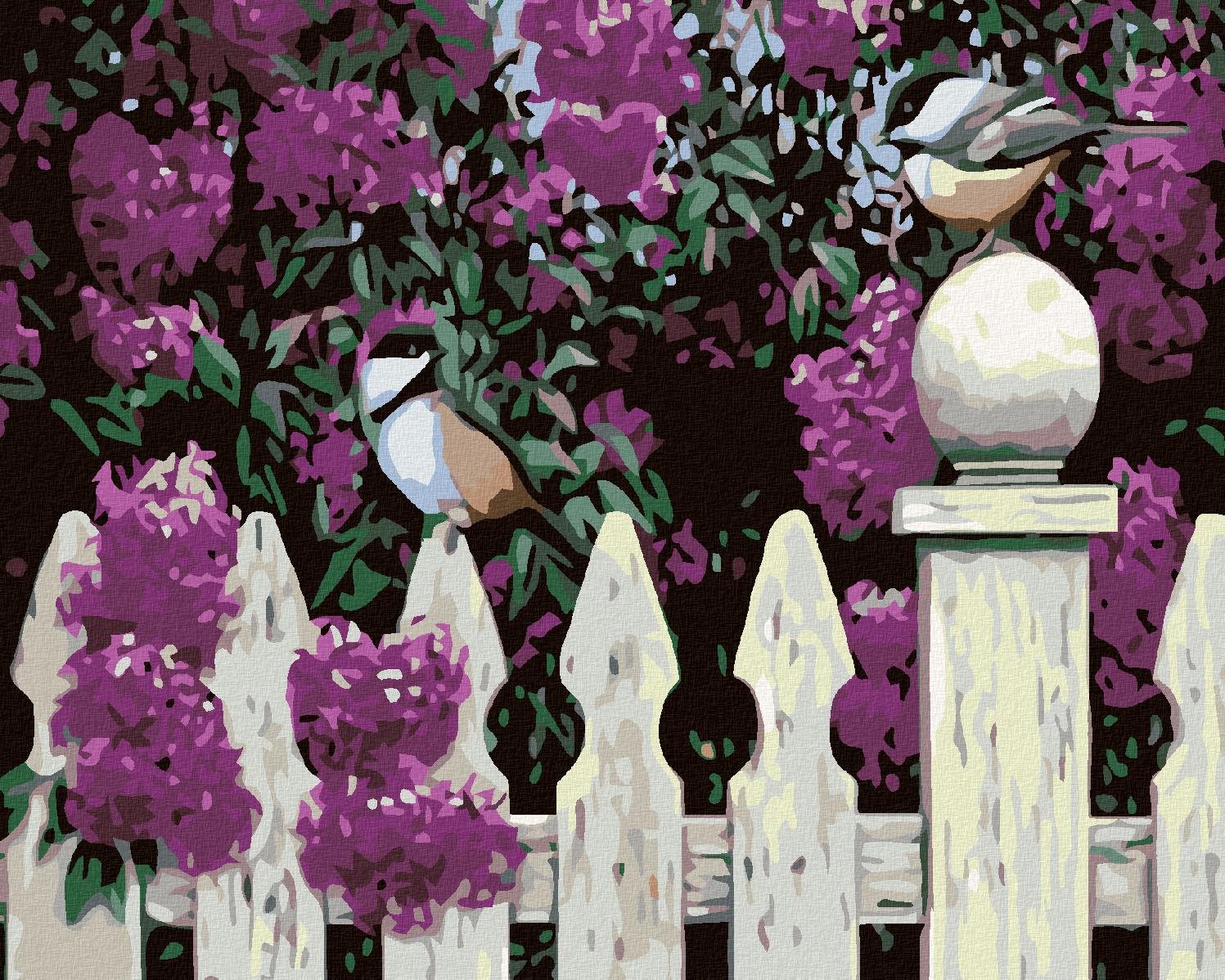 Malování podle čísel - Sýkorky na plotě, 50x40 cm, vypnuté plátno na rám