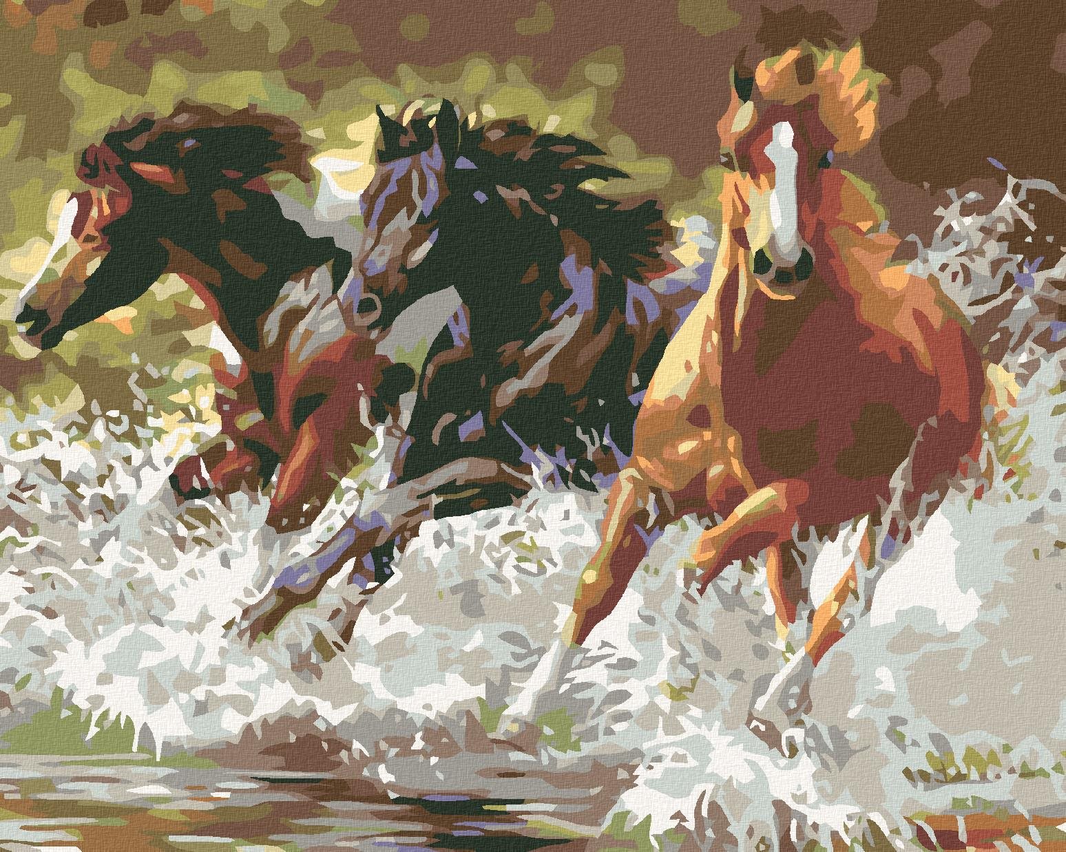 Malování podle čísel - Koně, 100x80 cm, vypnuté plátno na rám