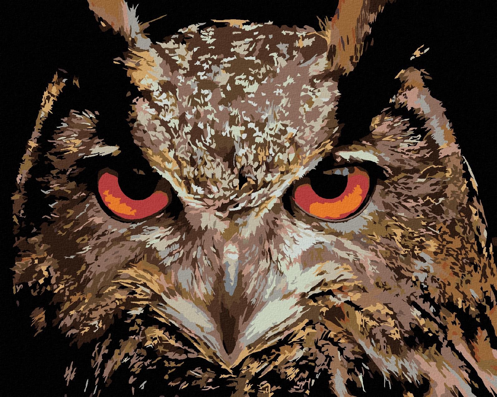 Malování podle čísel - Výr velký, 100x80 cm, vypnuté plátno na rám