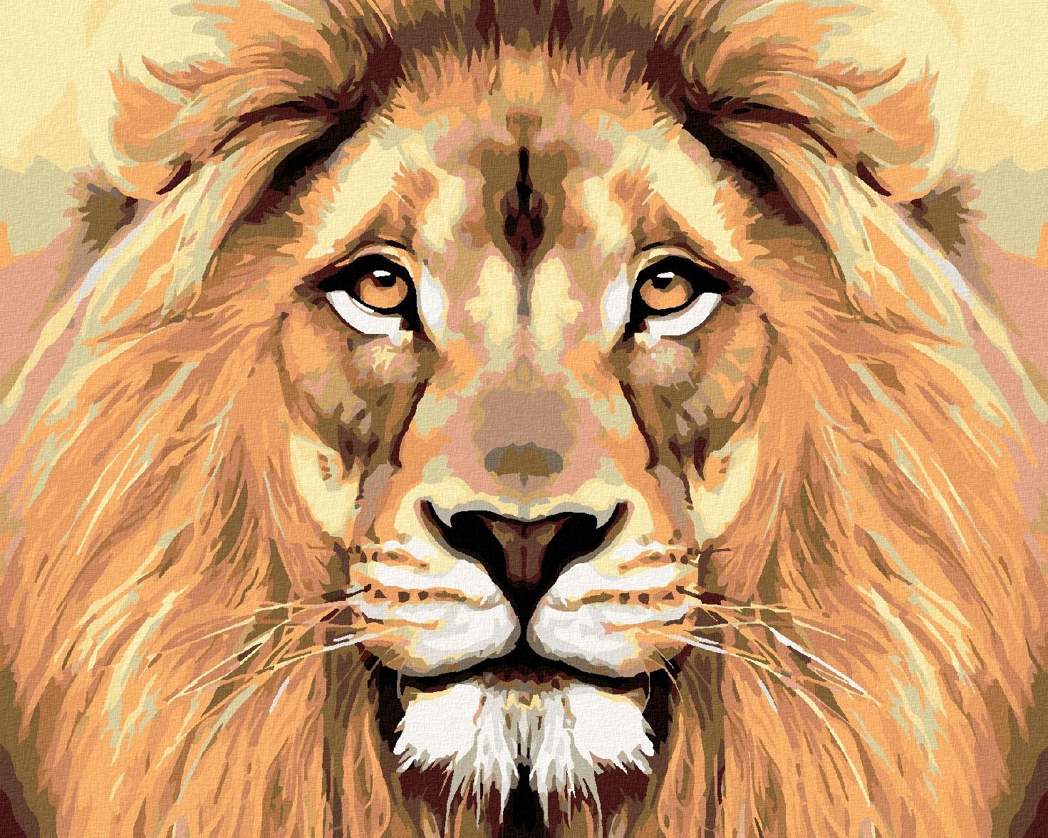 Malování podle čísel - Lví pohled, 50x40 cm, vypnuté plátno na rám