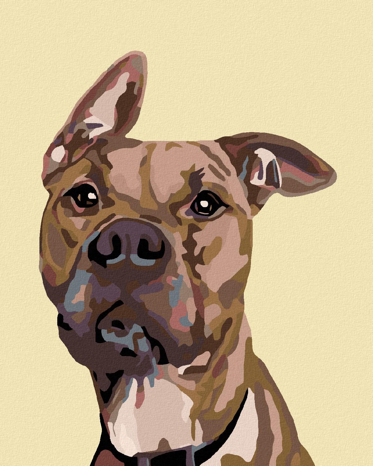 Malování podle čísel - Pes s nastraženým uchem, 40x50 cm, bez rámu a bez vypnutí plátna