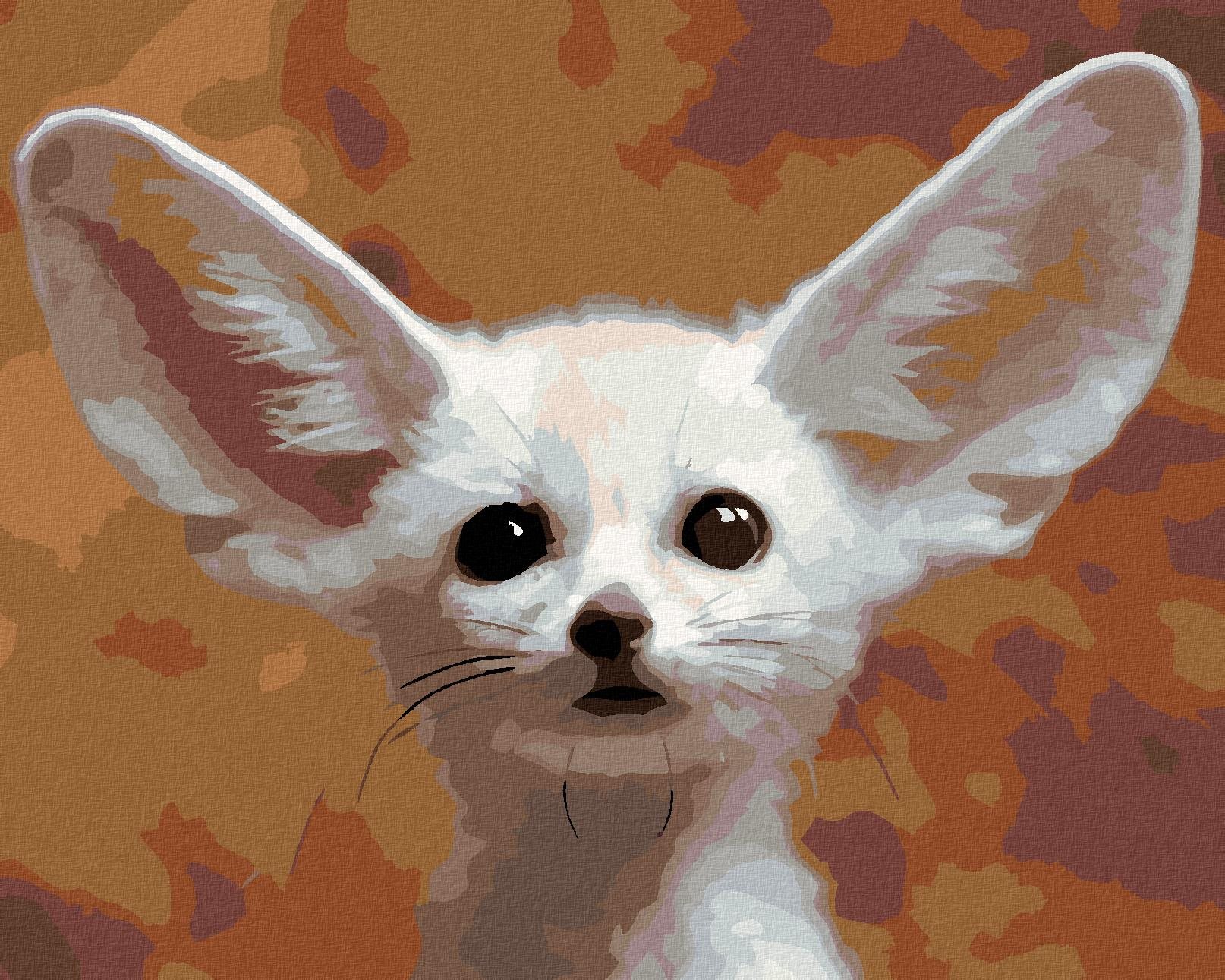 Malování podle čísel - Lištička fenek, 50x40 cm, vypnuté plátno na rám