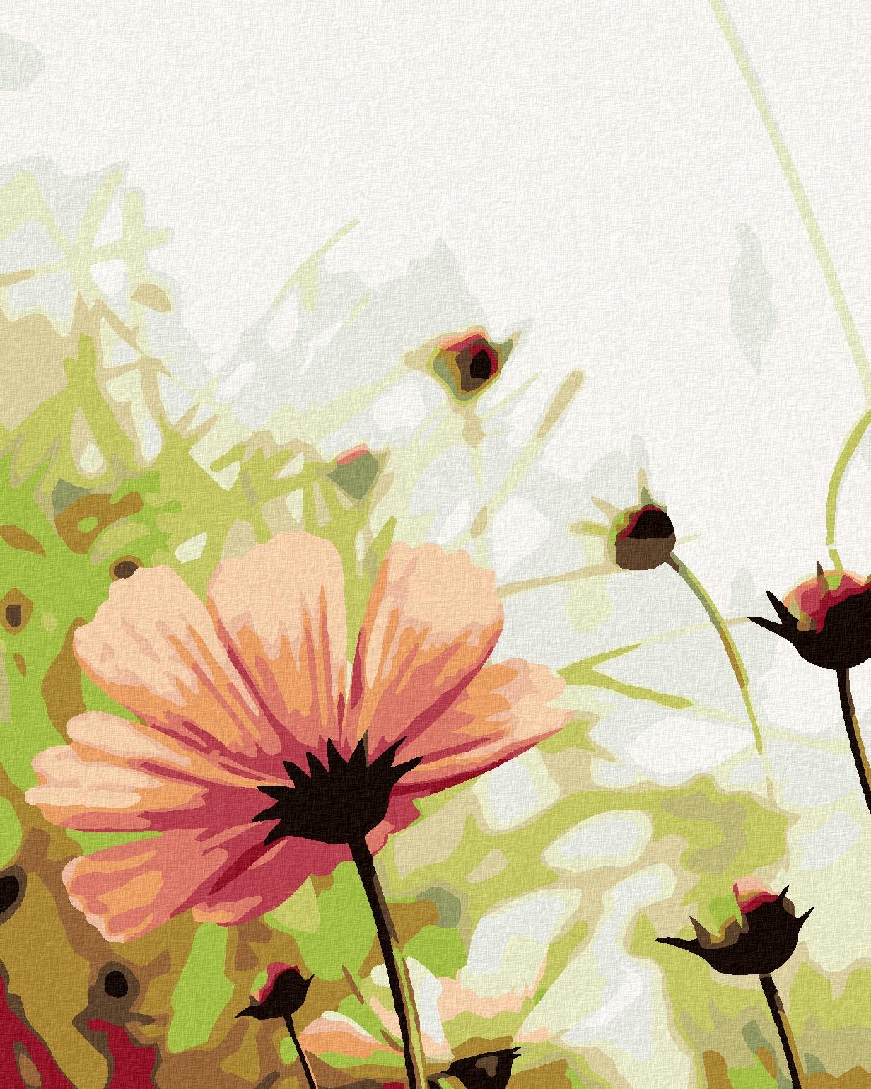 Malování podle čísel - Rozkvětlá květina na louce, 80x100 cm, bez rámu a bez vypnutí plátna