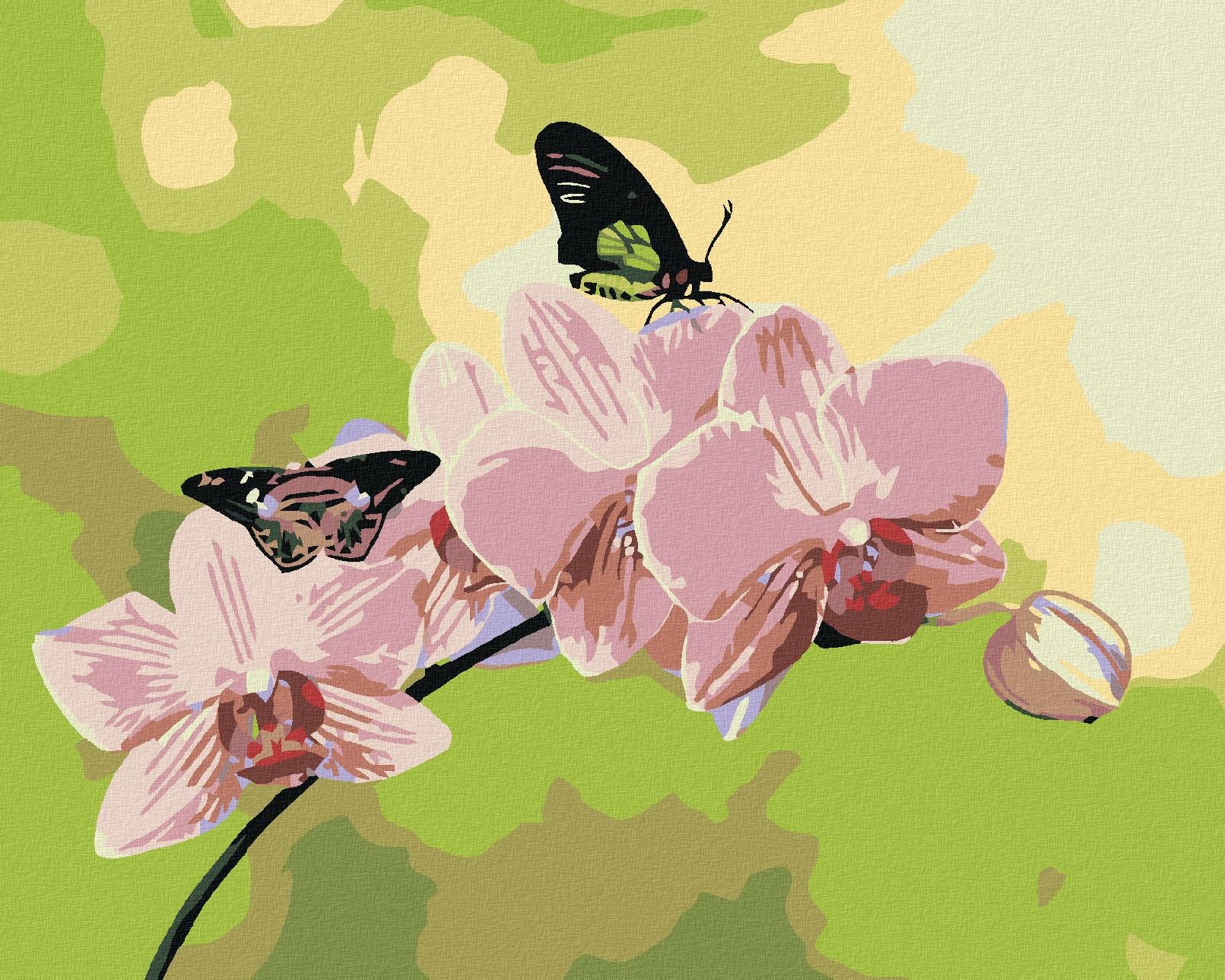 Malování podle čísel - Orchidej s motýlky, 100x80 cm, vypnuté plátno na rám