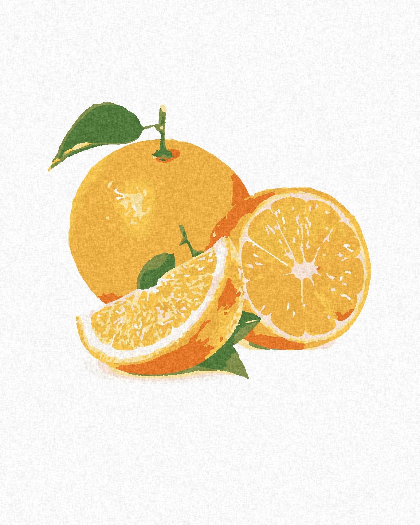 Malování podle čísel - Pomeranč, 80x100 cm, vypnuté plátno na rám